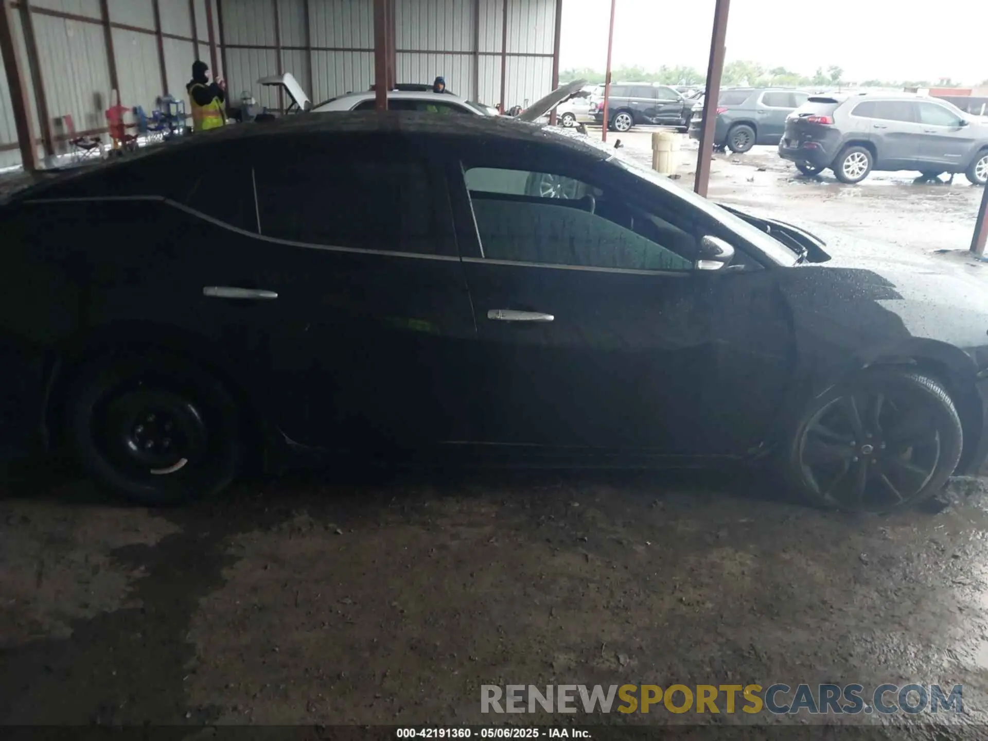 13 Photograph of a damaged car 1N4AA6AV6KC365031 NISSAN MAXIMA 2019