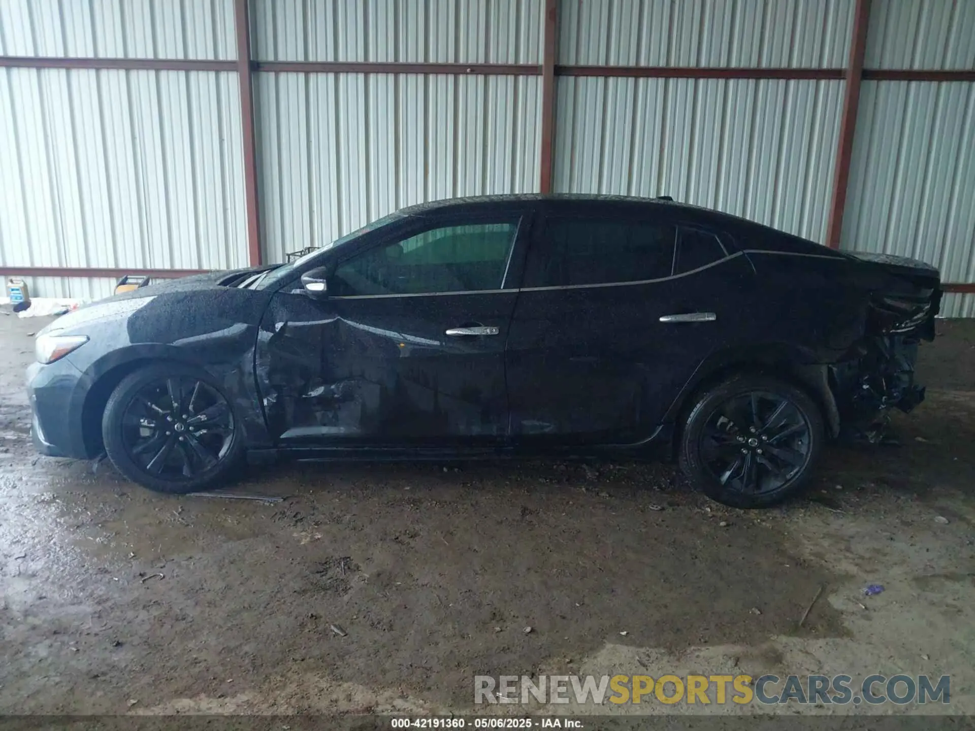 14 Photograph of a damaged car 1N4AA6AV6KC365031 NISSAN MAXIMA 2019