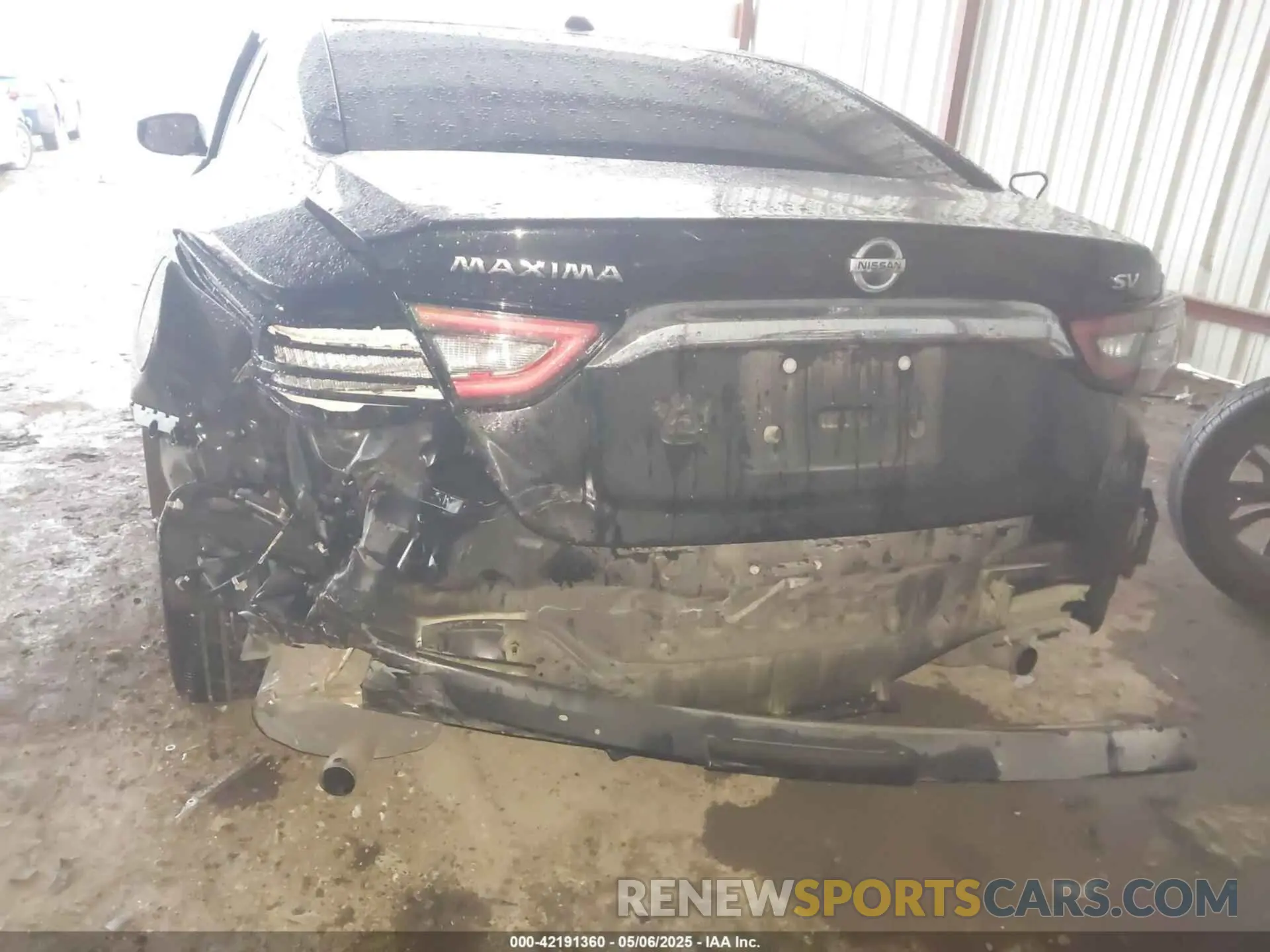 6 Photograph of a damaged car 1N4AA6AV6KC365031 NISSAN MAXIMA 2019