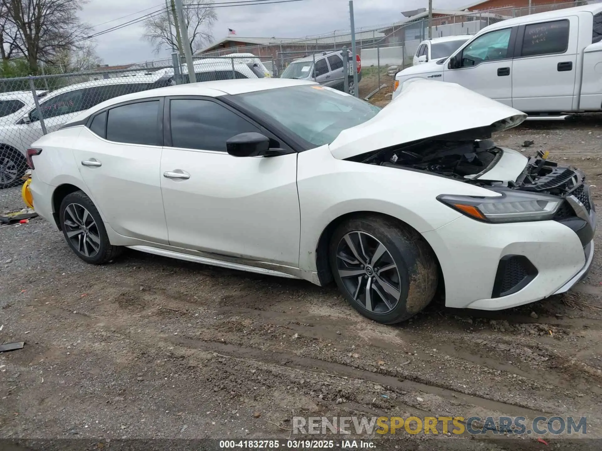 13 Photograph of a damaged car 1N4AA6AV6KC370178 NISSAN MAXIMA 2019