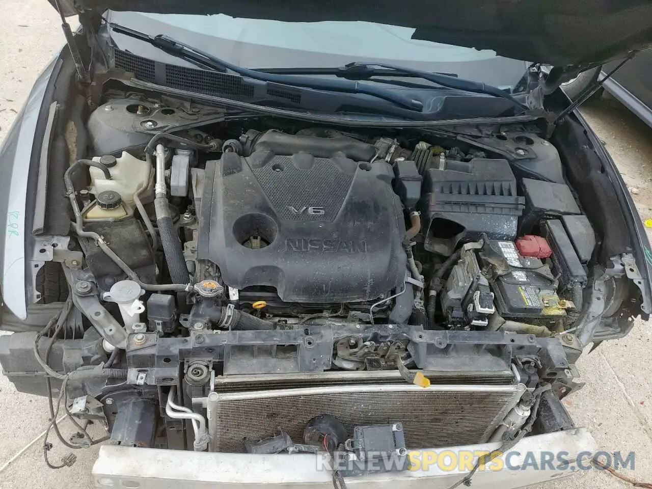 11 Photograph of a damaged car 1N4AA6AV6KC371590 NISSAN MAXIMA 2019