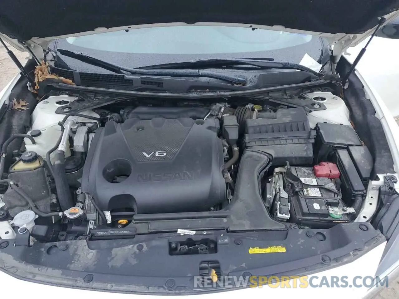 13 Photograph of a damaged car 1N4AA6AV6KC378197 NISSAN MAXIMA 2019