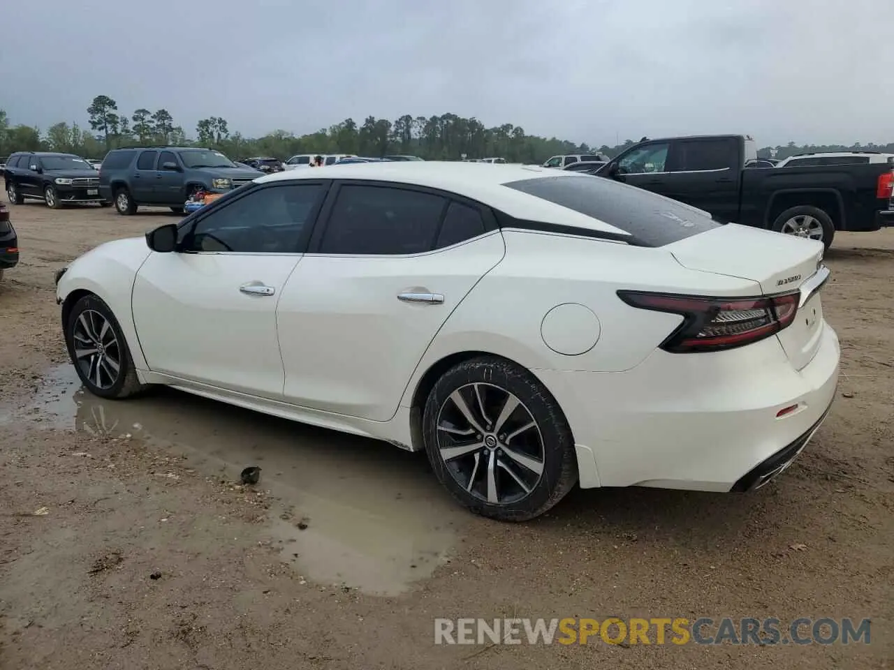 2 Photograph of a damaged car 1N4AA6AV6KC378197 NISSAN MAXIMA 2019