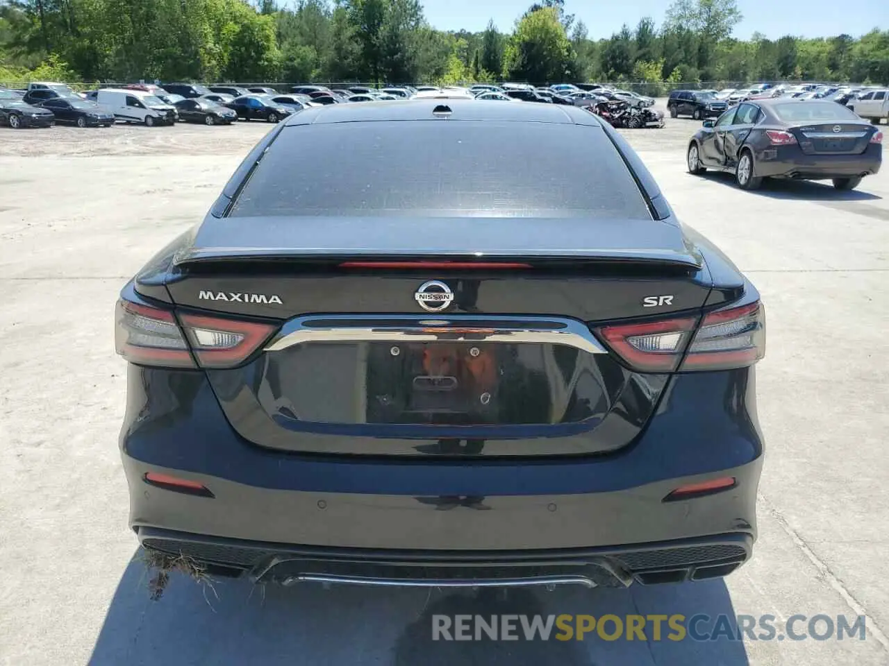 6 Photograph of a damaged car 1N4AA6AV6KC381908 NISSAN MAXIMA 2019
