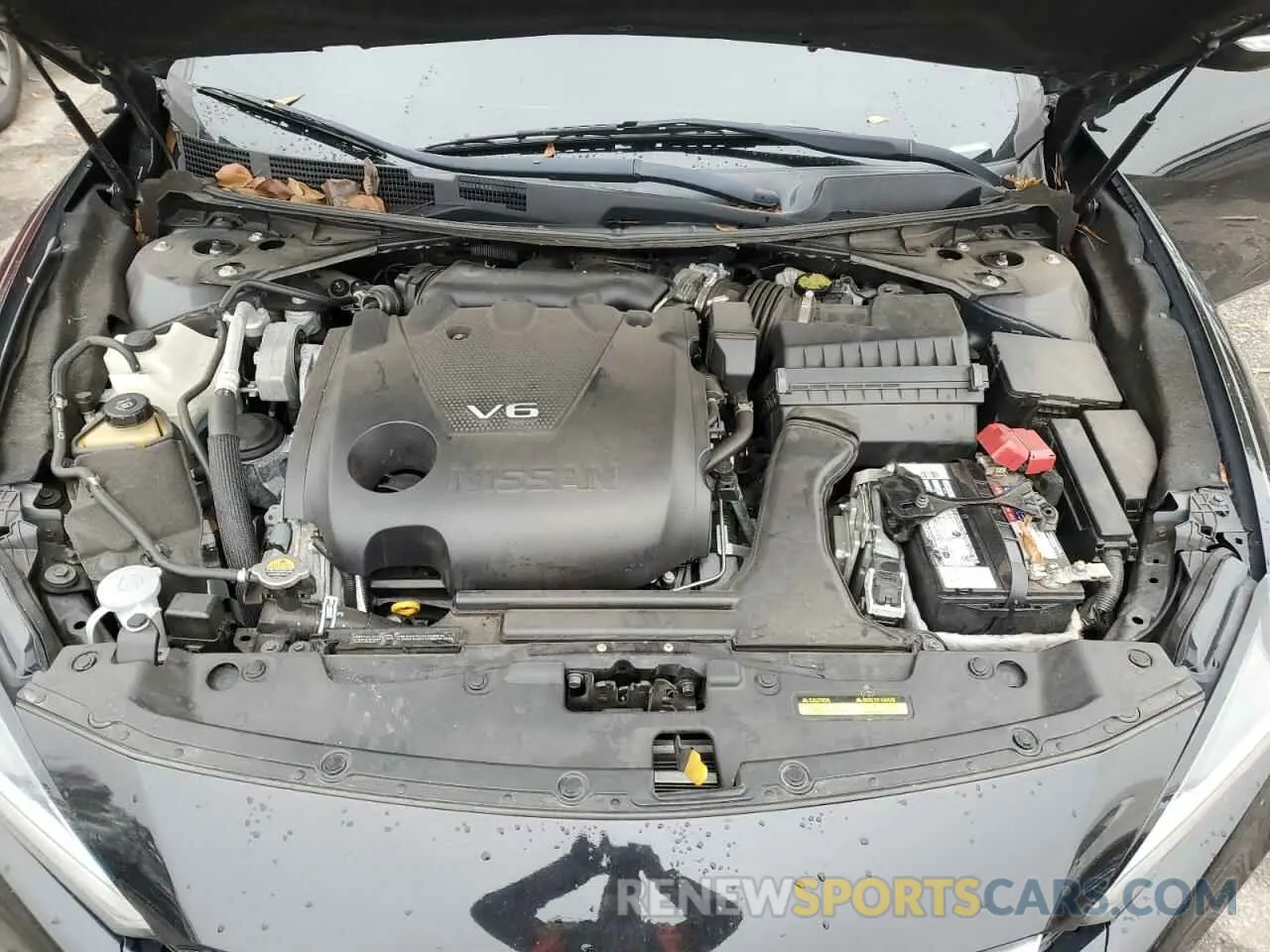 11 Photograph of a damaged car 1N4AA6AV7KC361599 NISSAN MAXIMA 2019