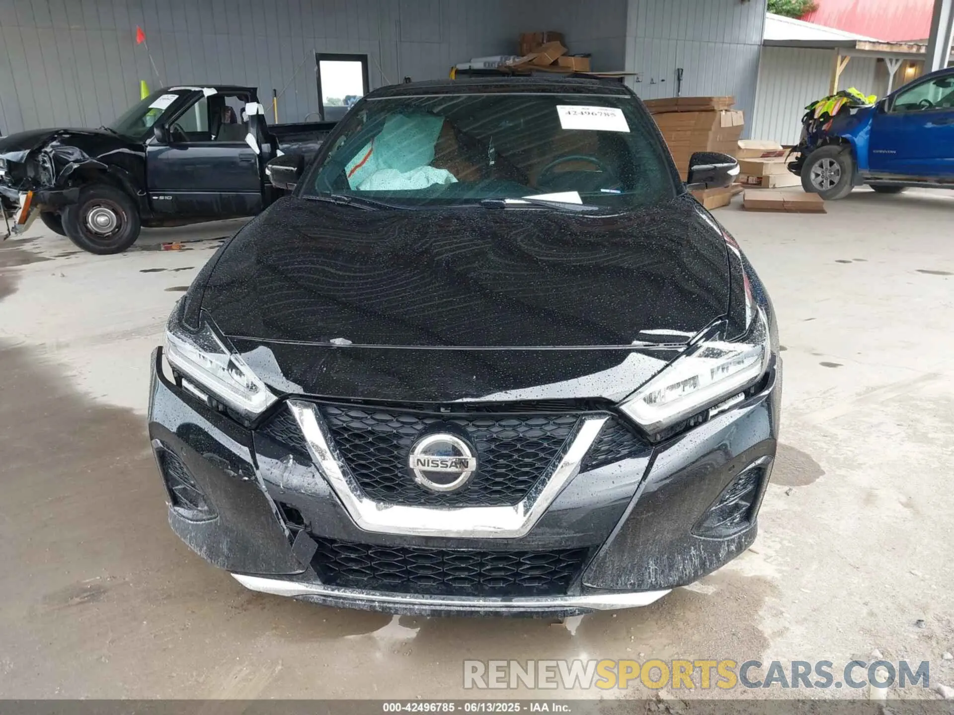 12 Photograph of a damaged car 1N4AA6AV7KC373915 NISSAN MAXIMA 2019