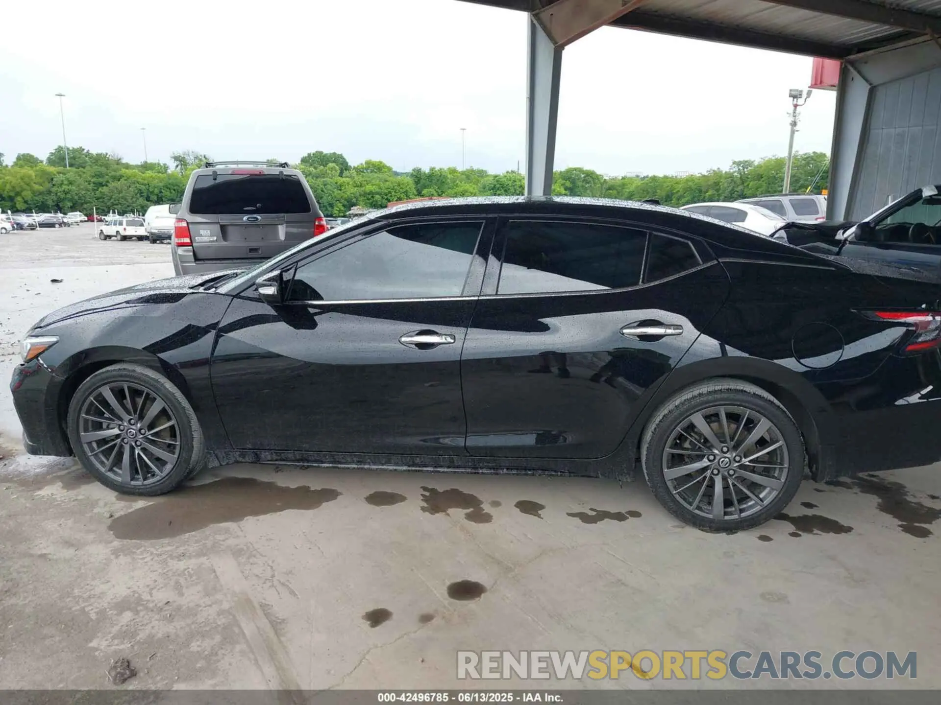 14 Photograph of a damaged car 1N4AA6AV7KC373915 NISSAN MAXIMA 2019