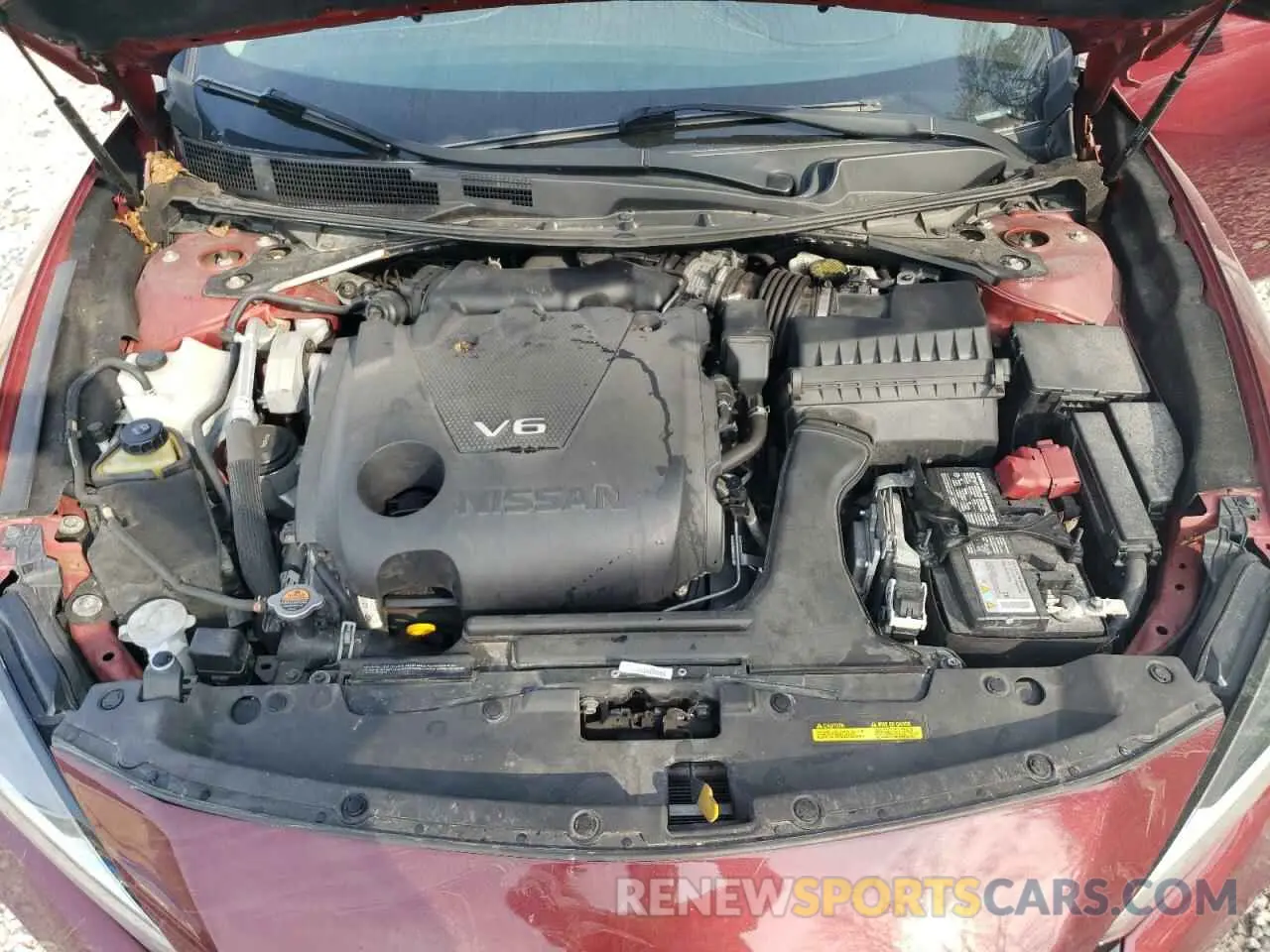 11 Photograph of a damaged car 1N4AA6AV7KC375521 NISSAN MAXIMA 2019