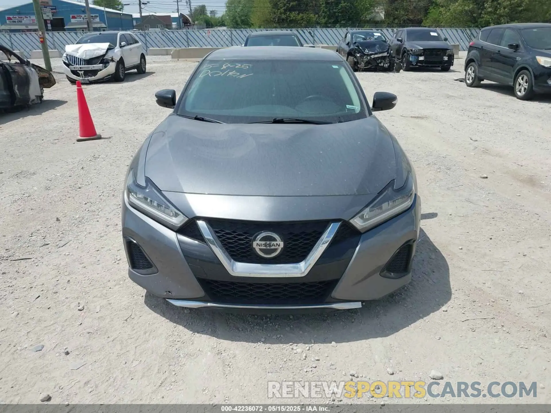 12 Photograph of a damaged car 1N4AA6AV8KC360509 NISSAN MAXIMA 2019