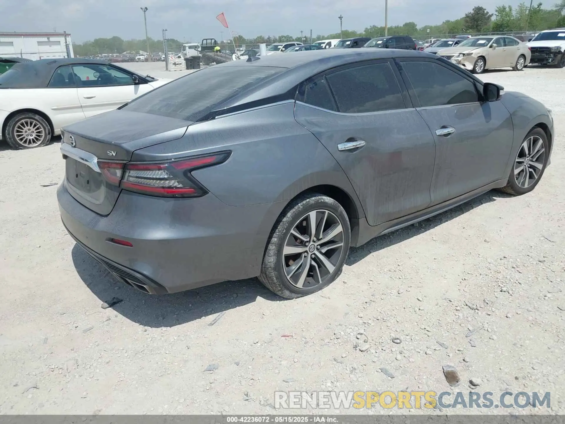 4 Photograph of a damaged car 1N4AA6AV8KC360509 NISSAN MAXIMA 2019
