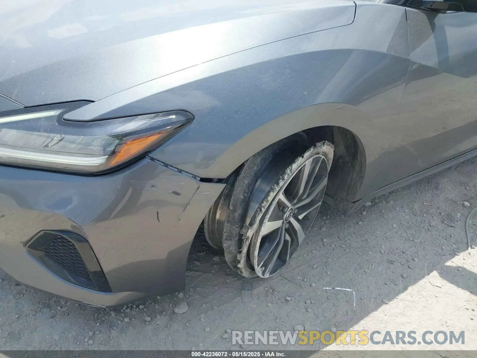 6 Photograph of a damaged car 1N4AA6AV8KC360509 NISSAN MAXIMA 2019