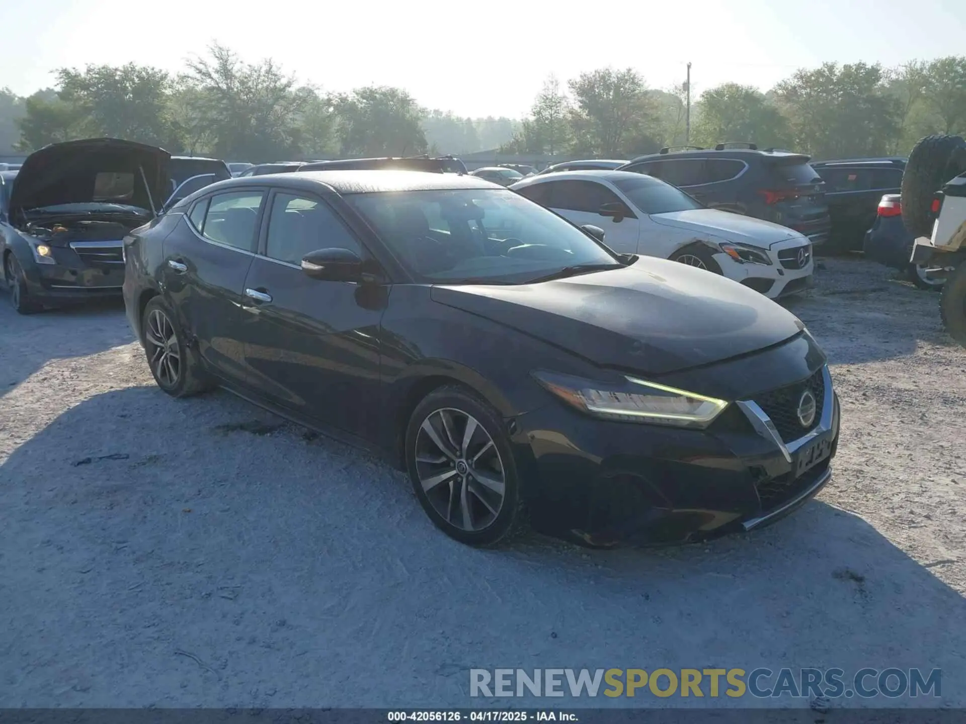 1 Photograph of a damaged car 1N4AA6AV8KC376936 NISSAN MAXIMA 2019