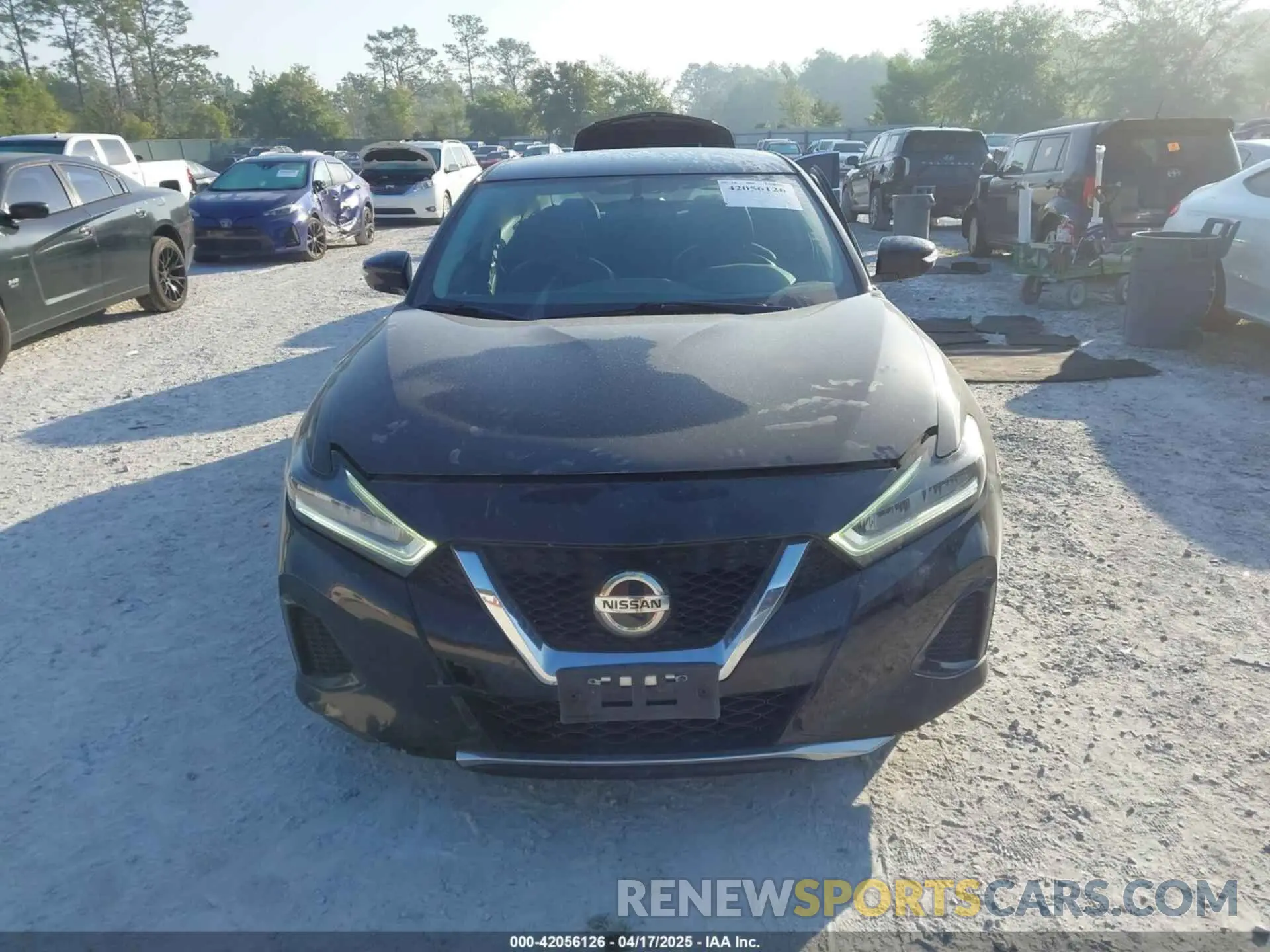 12 Photograph of a damaged car 1N4AA6AV8KC376936 NISSAN MAXIMA 2019