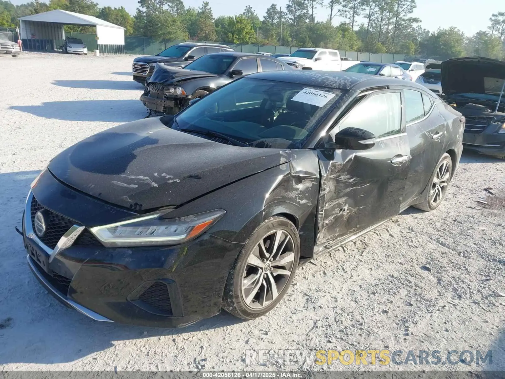 2 Photograph of a damaged car 1N4AA6AV8KC376936 NISSAN MAXIMA 2019