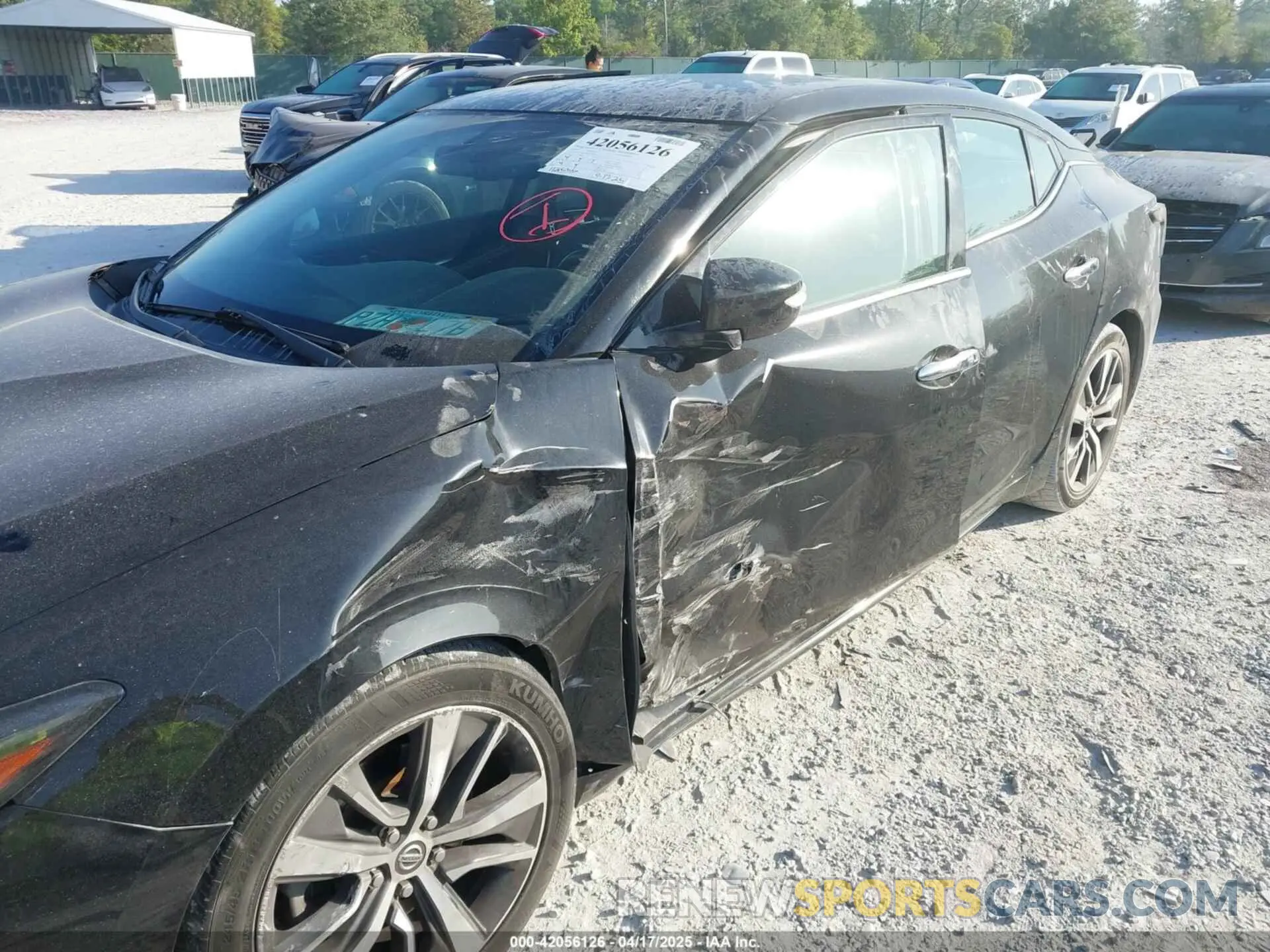 6 Photograph of a damaged car 1N4AA6AV8KC376936 NISSAN MAXIMA 2019