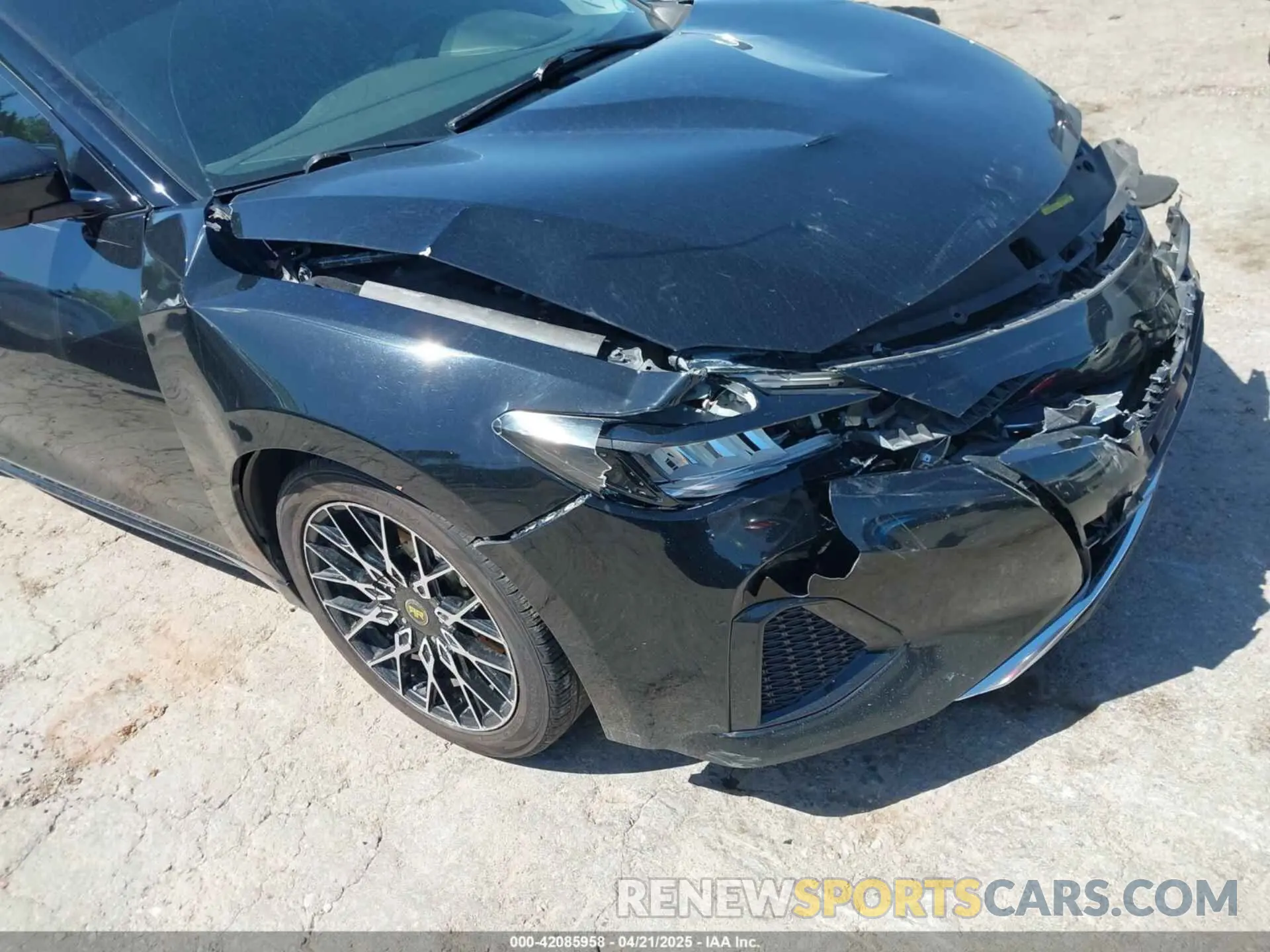 6 Photograph of a damaged car 1N4AA6AV8KC379464 NISSAN MAXIMA 2019