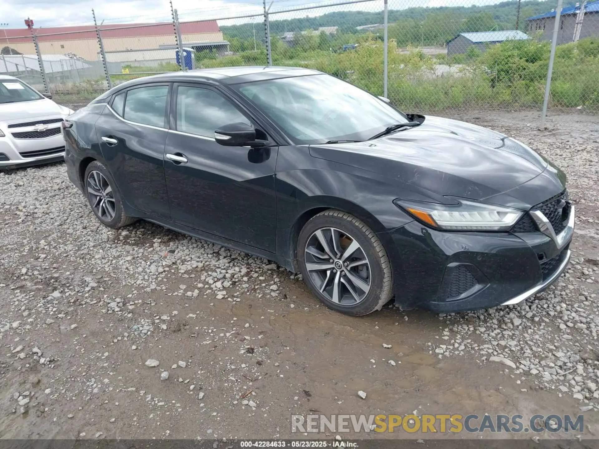 1 Photograph of a damaged car 1N4AA6AV9KC378078 NISSAN MAXIMA 2019