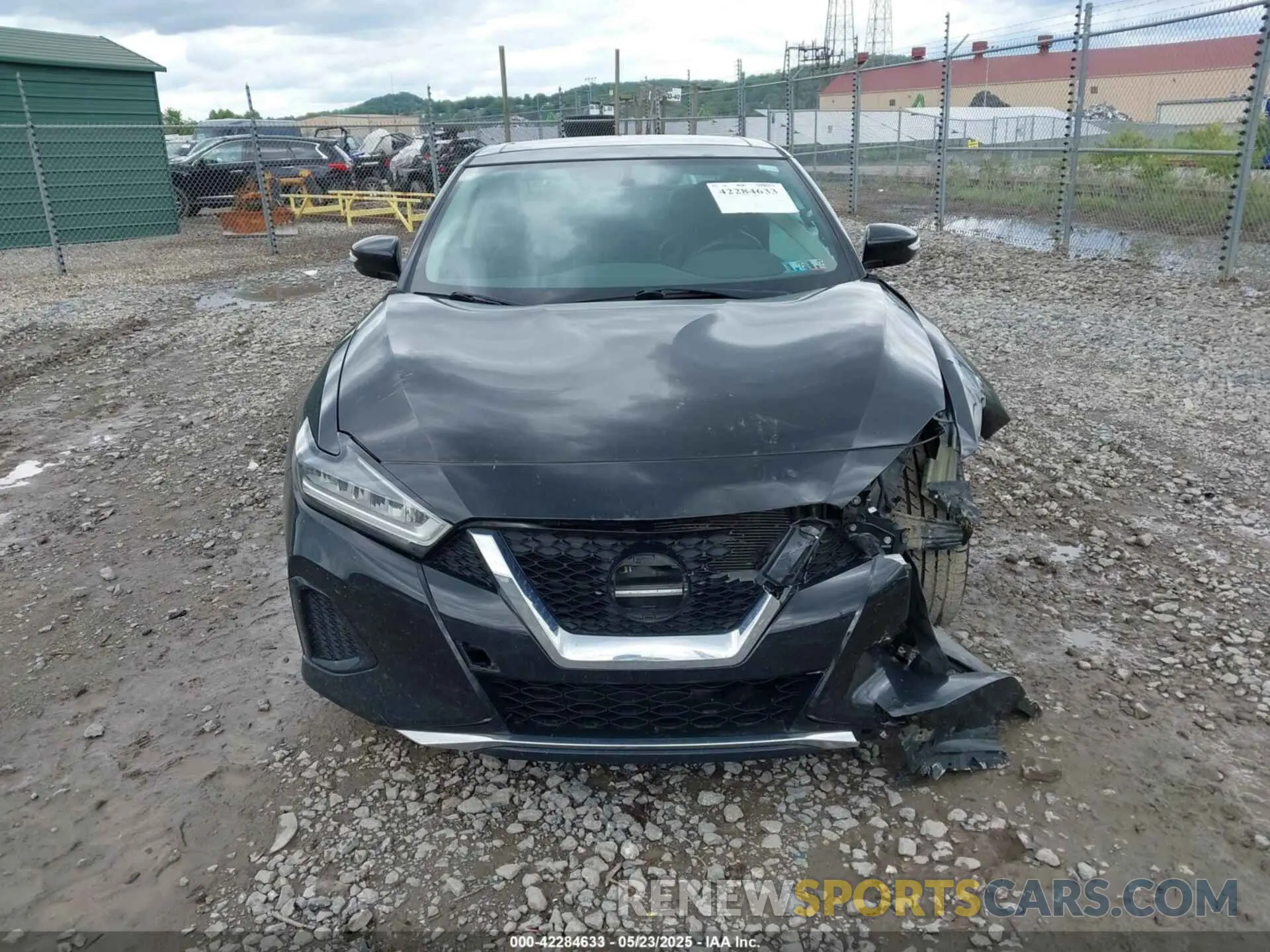 12 Photograph of a damaged car 1N4AA6AV9KC378078 NISSAN MAXIMA 2019
