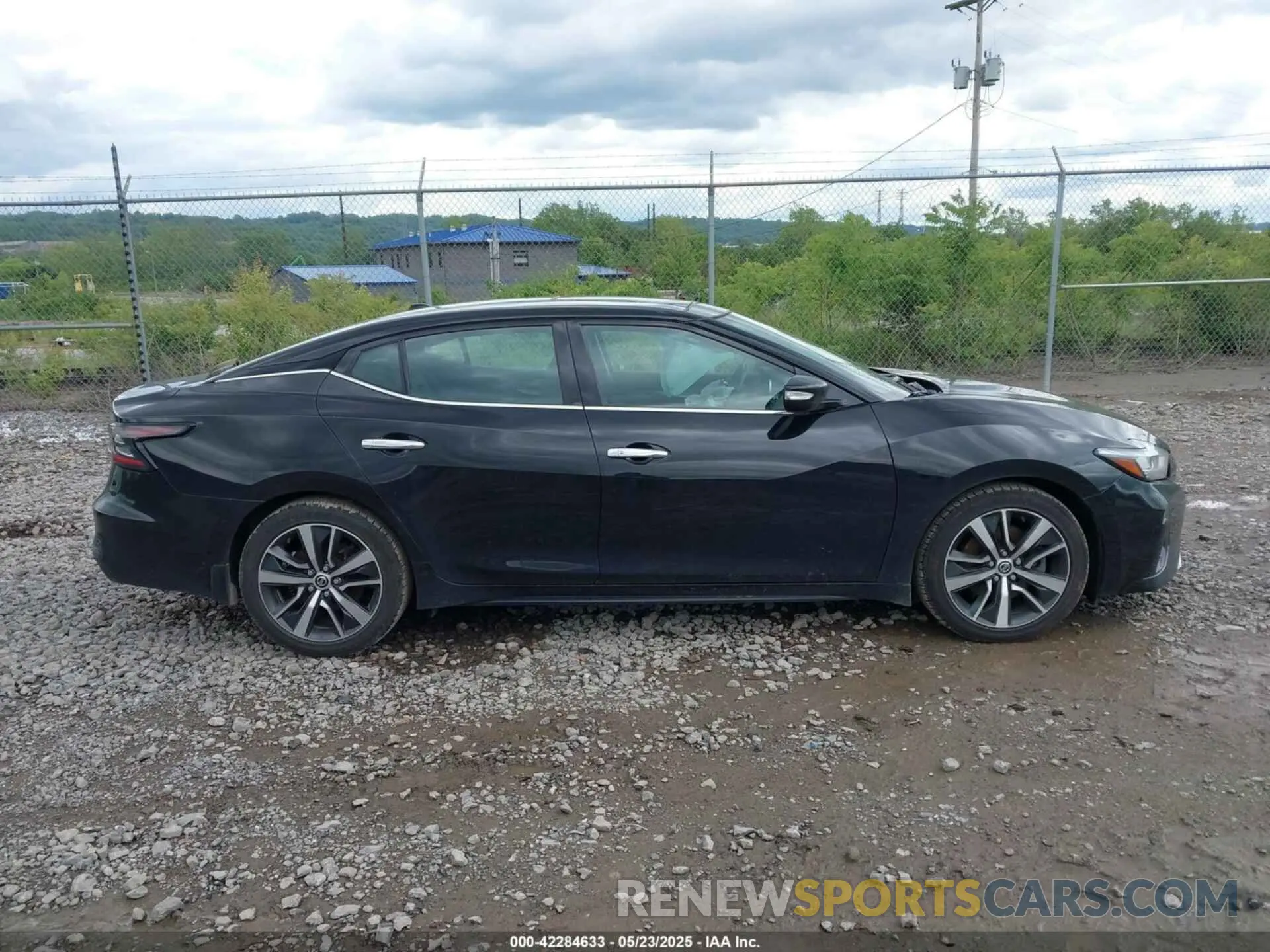 13 Photograph of a damaged car 1N4AA6AV9KC378078 NISSAN MAXIMA 2019