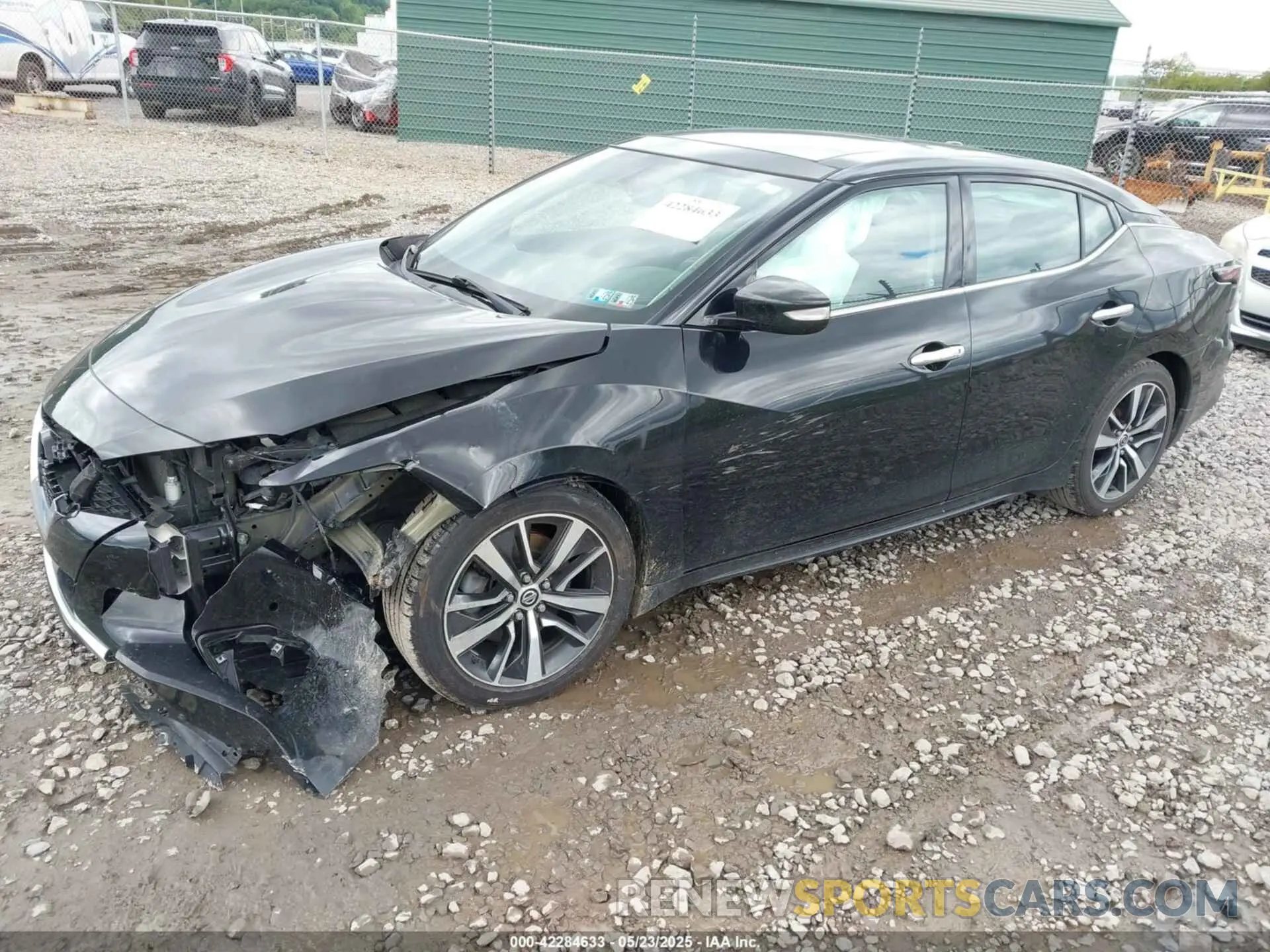 2 Photograph of a damaged car 1N4AA6AV9KC378078 NISSAN MAXIMA 2019