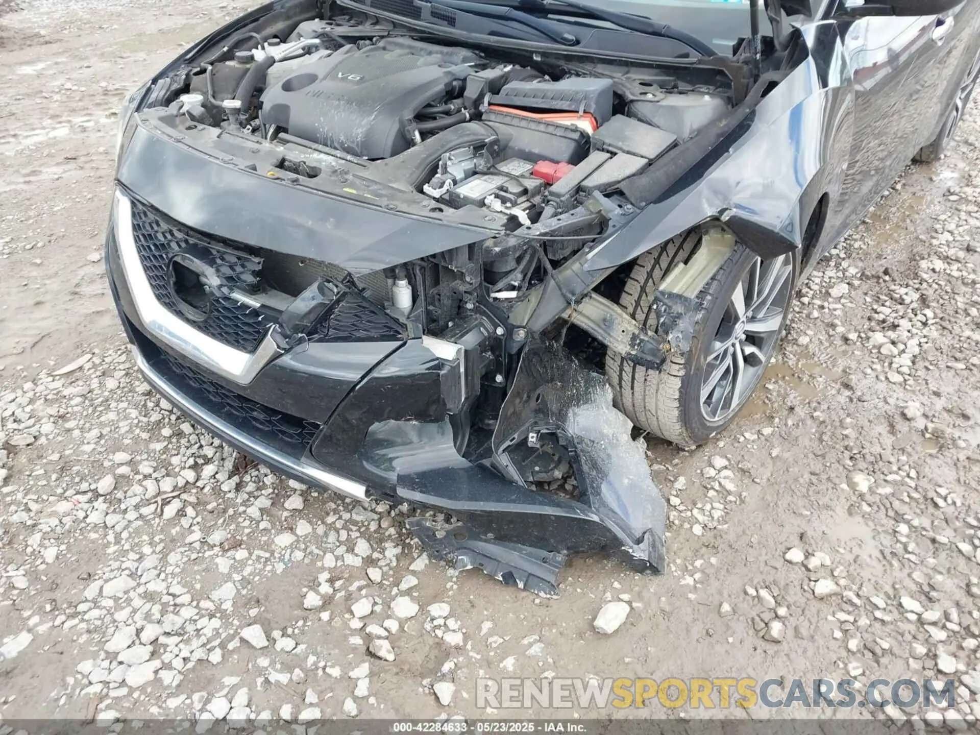 6 Photograph of a damaged car 1N4AA6AV9KC378078 NISSAN MAXIMA 2019
