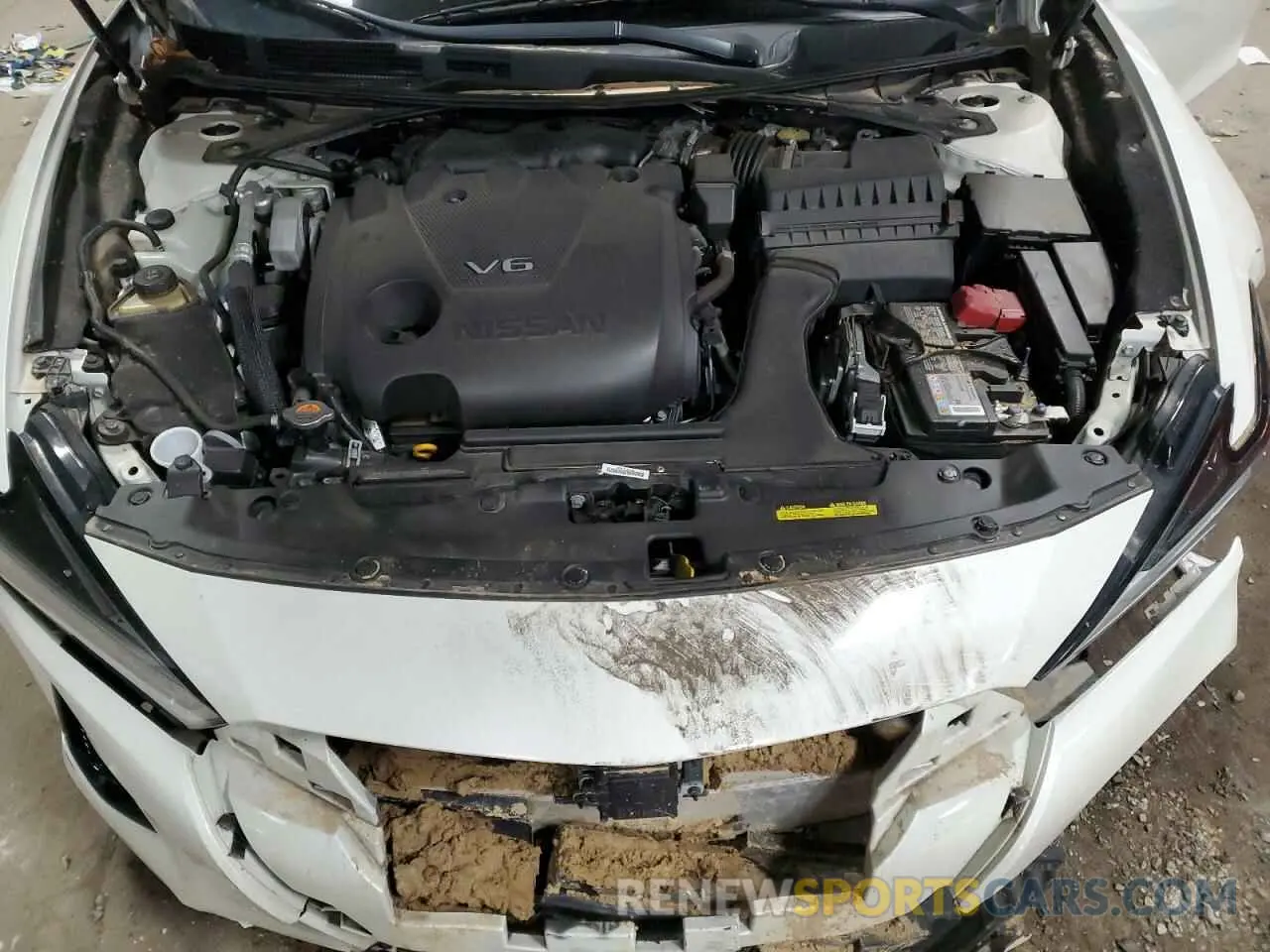 11 Photograph of a damaged car 1N4AA6AV9KC378596 NISSAN MAXIMA 2019