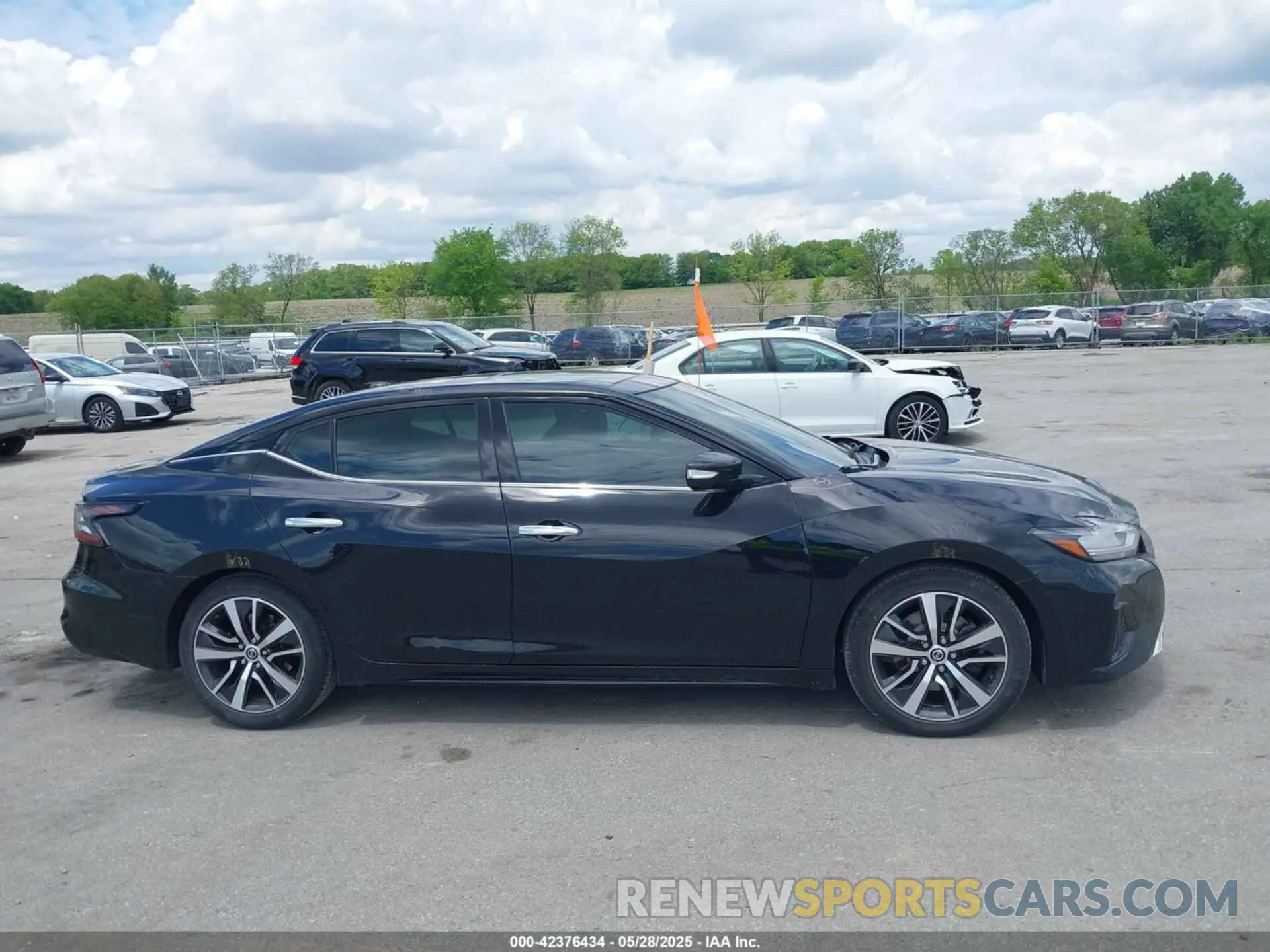 13 Photograph of a damaged car 1N4AA6AVXKC363881 NISSAN MAXIMA 2019