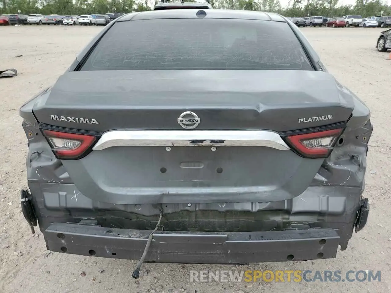 6 Photograph of a damaged car 1N4AA6AVXKC376310 NISSAN MAXIMA 2019