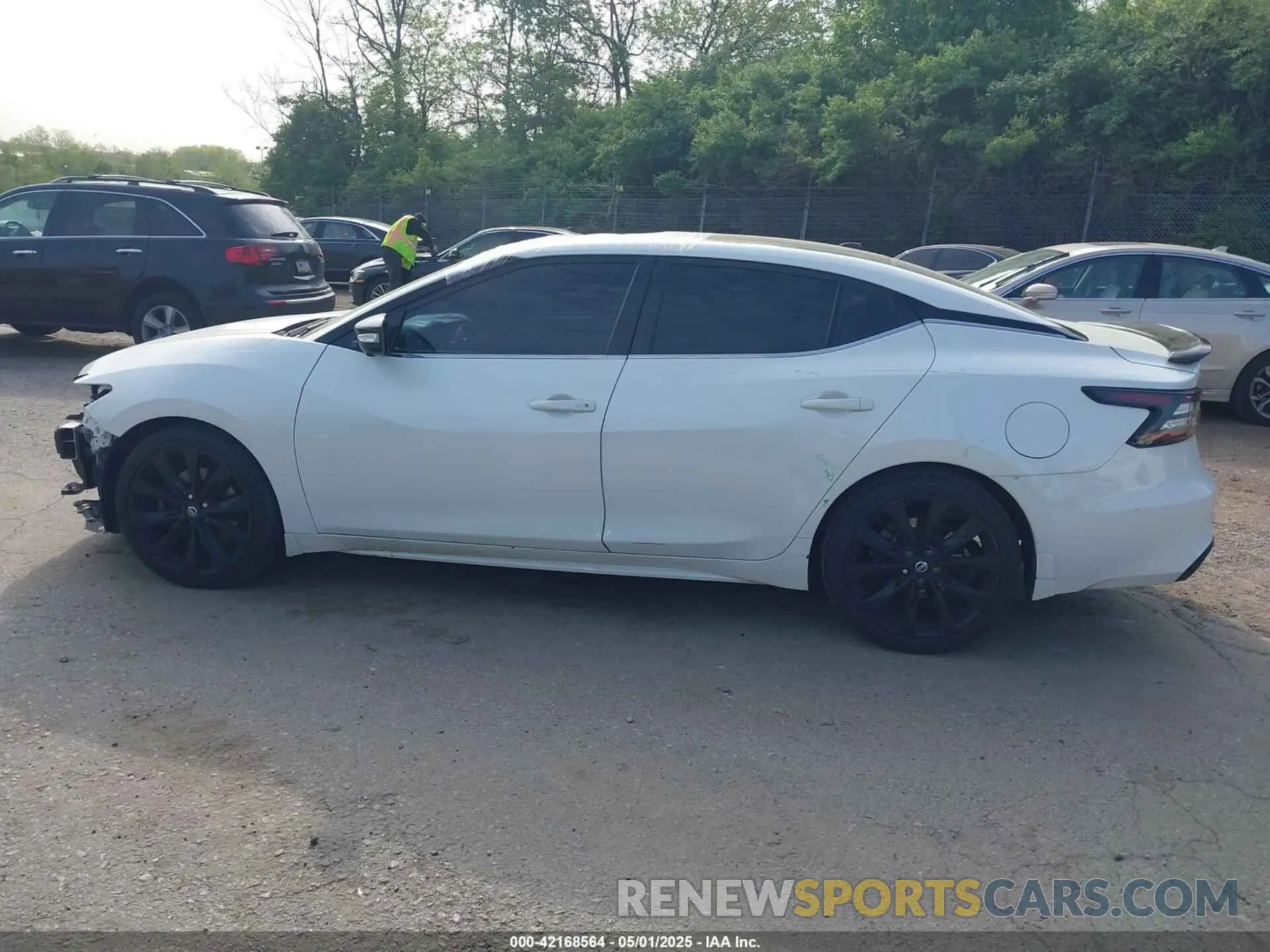 15 Photograph of a damaged car 1N4AA6AVXKC381023 NISSAN MAXIMA 2019
