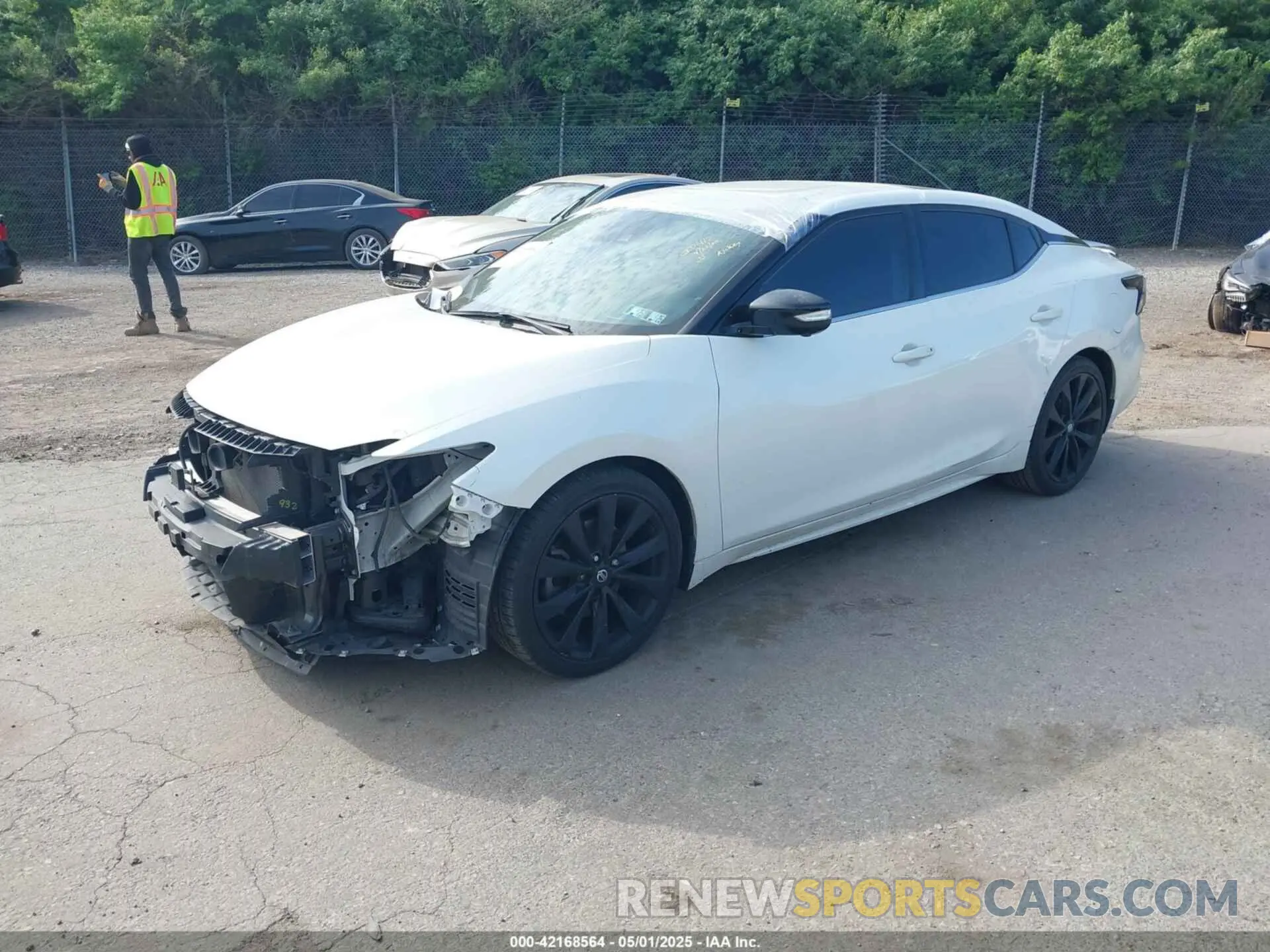 2 Photograph of a damaged car 1N4AA6AVXKC381023 NISSAN MAXIMA 2019