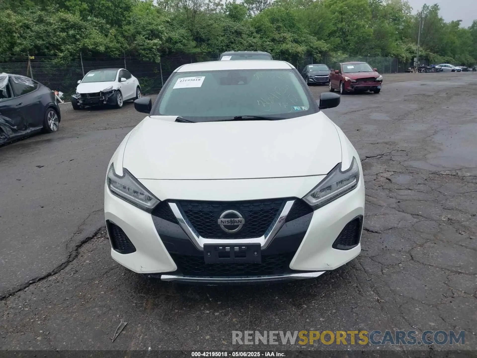 13 Photograph of a damaged car 1N4AA6BV4LC364136 NISSAN MAXIMA 2020