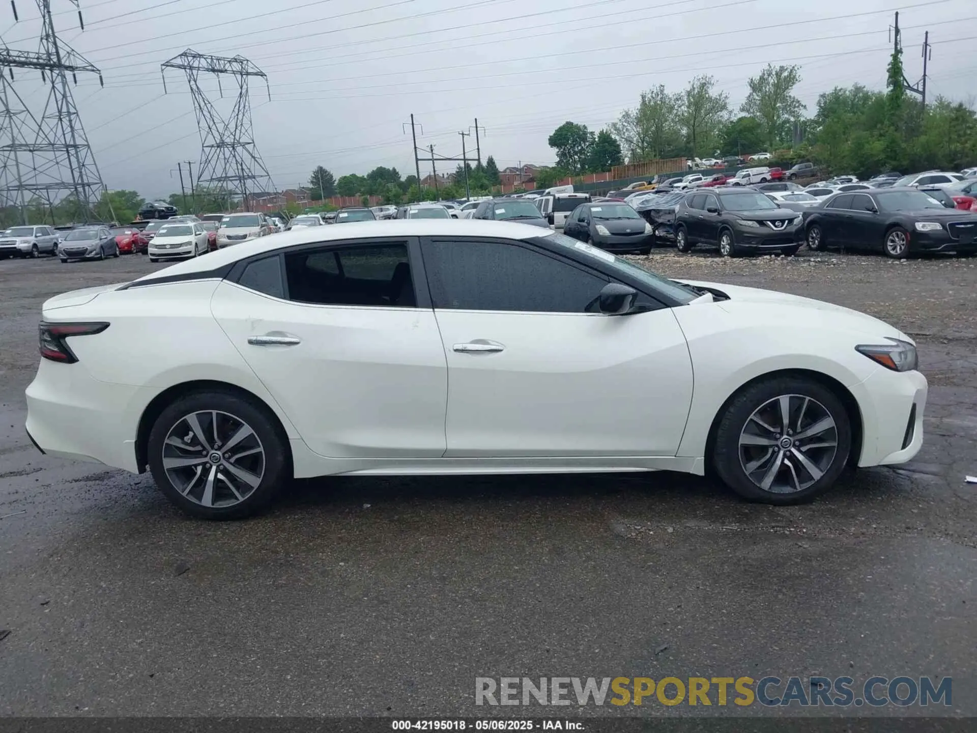 14 Photograph of a damaged car 1N4AA6BV4LC364136 NISSAN MAXIMA 2020