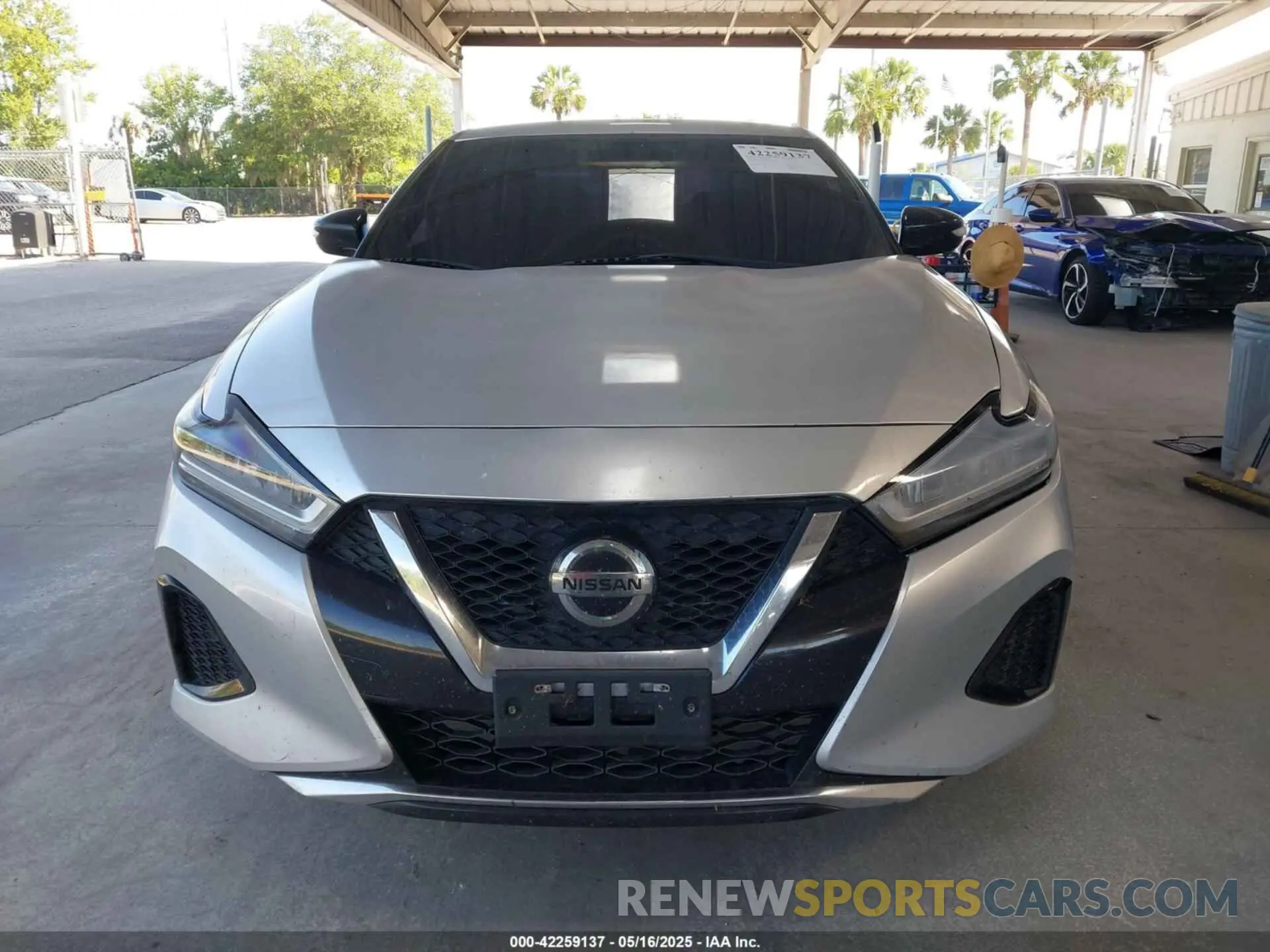 12 Photograph of a damaged car 1N4AA6CV1LC362326 NISSAN MAXIMA 2020