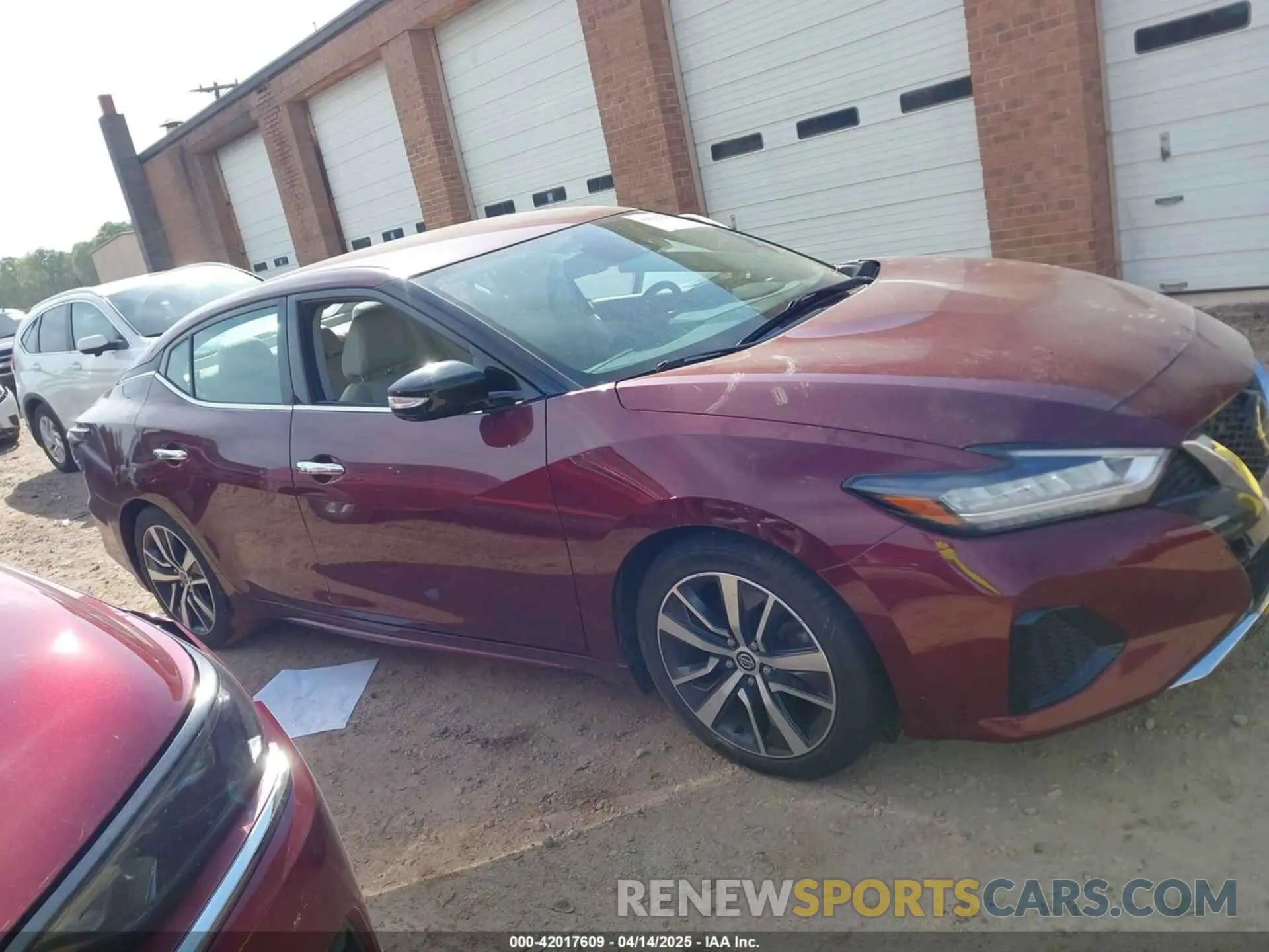 13 Photograph of a damaged car 1N4AA6CV2LC375702 NISSAN MAXIMA 2020