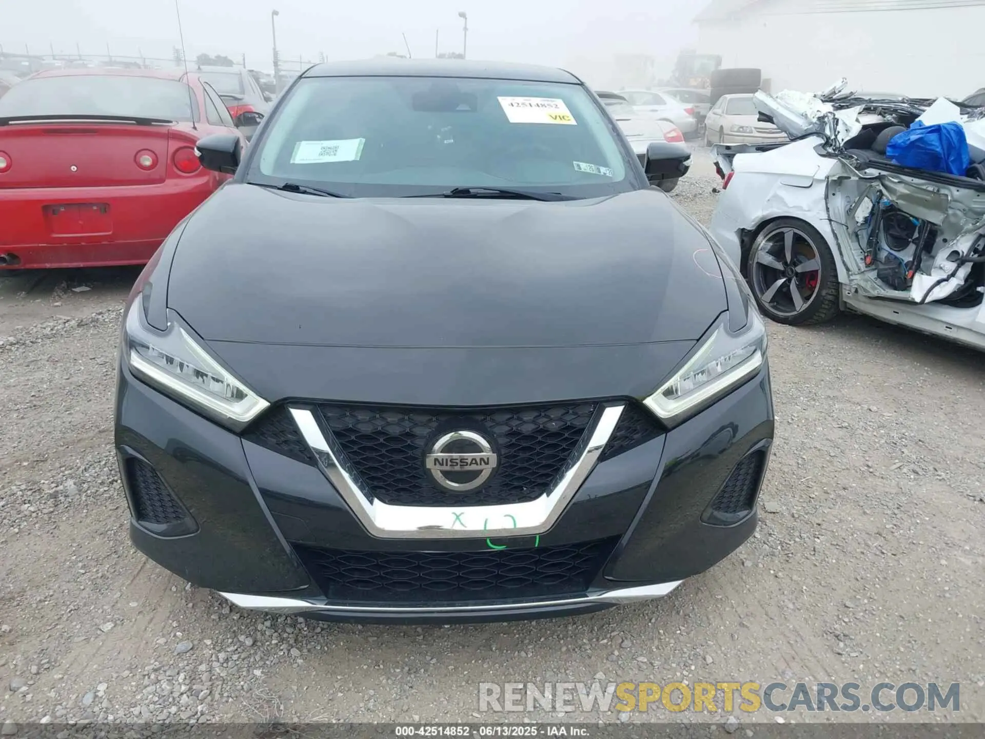 12 Photograph of a damaged car 1N4AA6CV3LC360108 NISSAN MAXIMA 2020