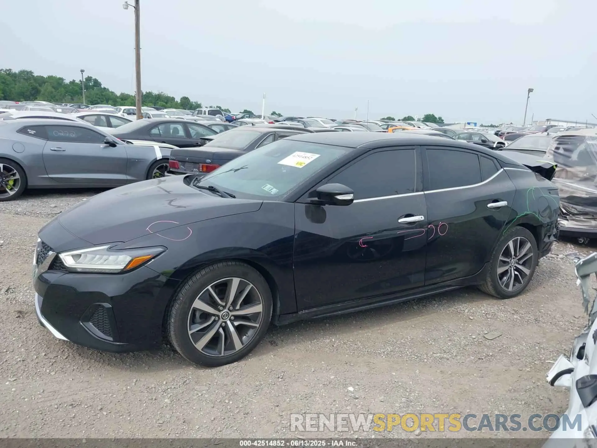 14 Photograph of a damaged car 1N4AA6CV3LC360108 NISSAN MAXIMA 2020