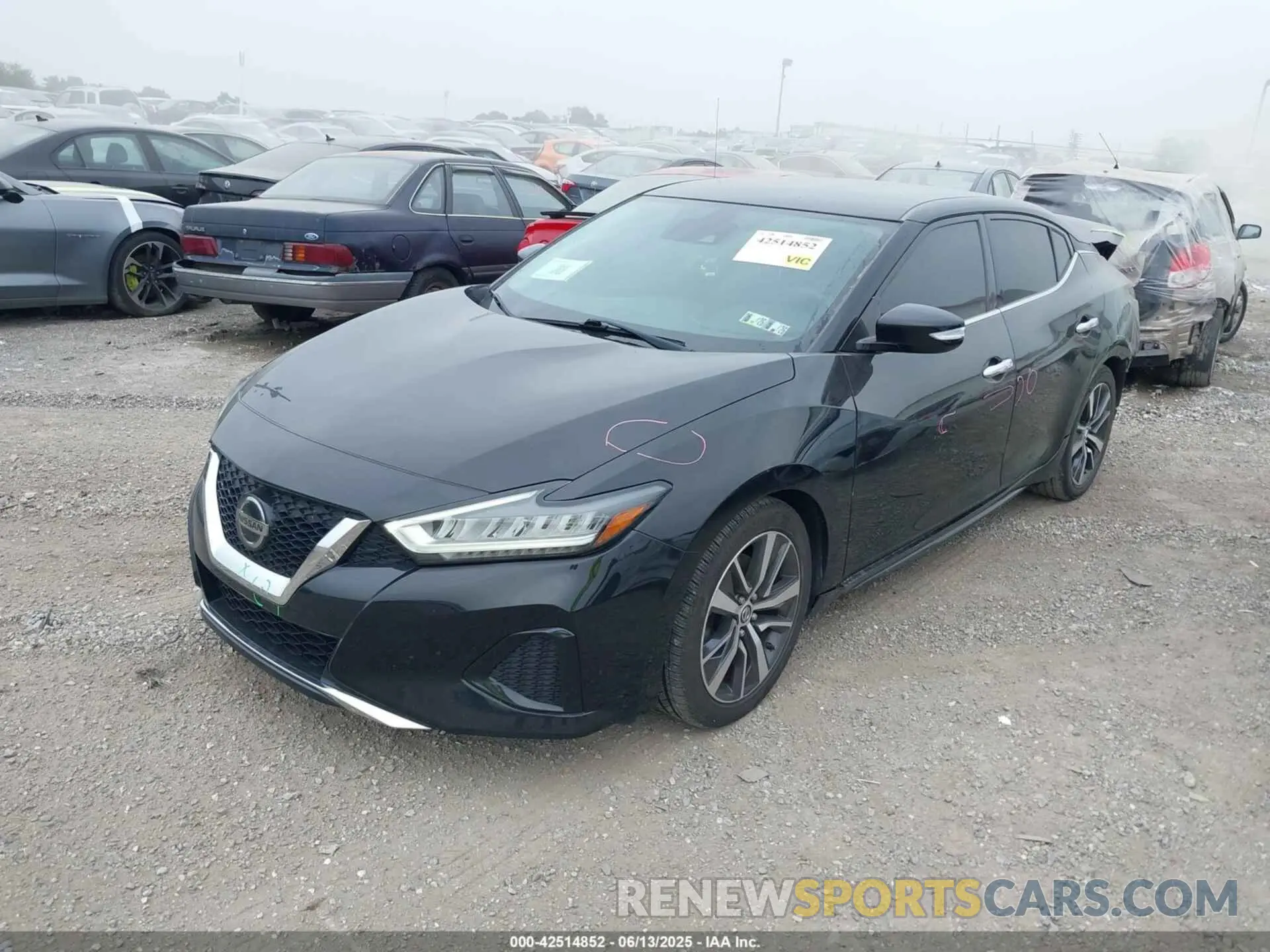 2 Photograph of a damaged car 1N4AA6CV3LC360108 NISSAN MAXIMA 2020
