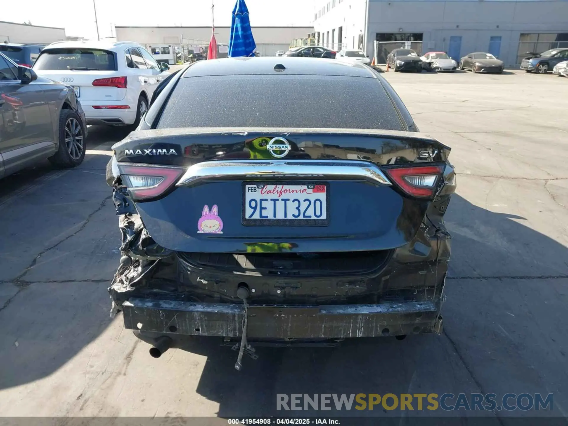 17 Photograph of a damaged car 1N4AA6CV3LC374574 NISSAN MAXIMA 2020