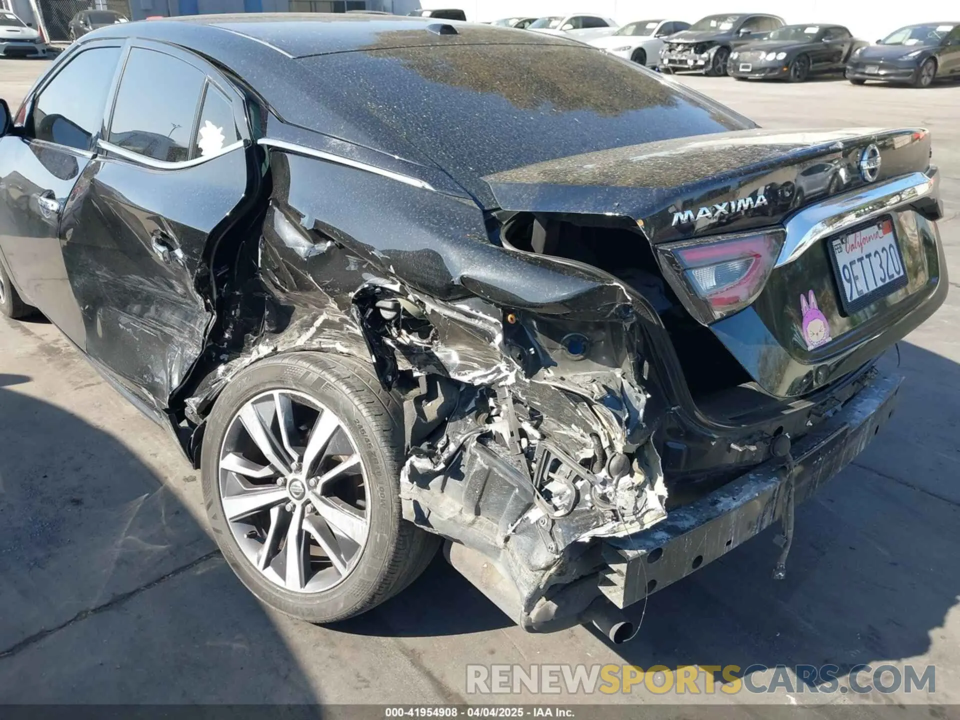 6 Photograph of a damaged car 1N4AA6CV3LC374574 NISSAN MAXIMA 2020
