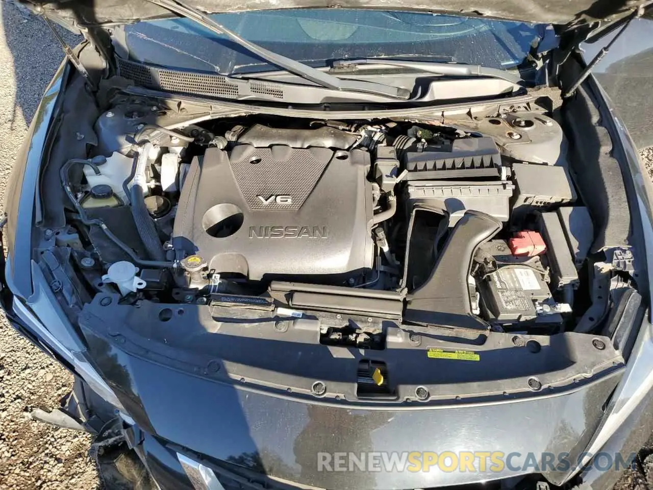 11 Photograph of a damaged car 1N4AA6CV5LC368095 NISSAN MAXIMA 2020