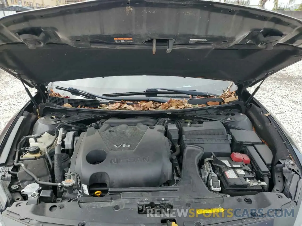 11 Photograph of a damaged car 1N4AA6CV5LC369263 NISSAN MAXIMA 2020