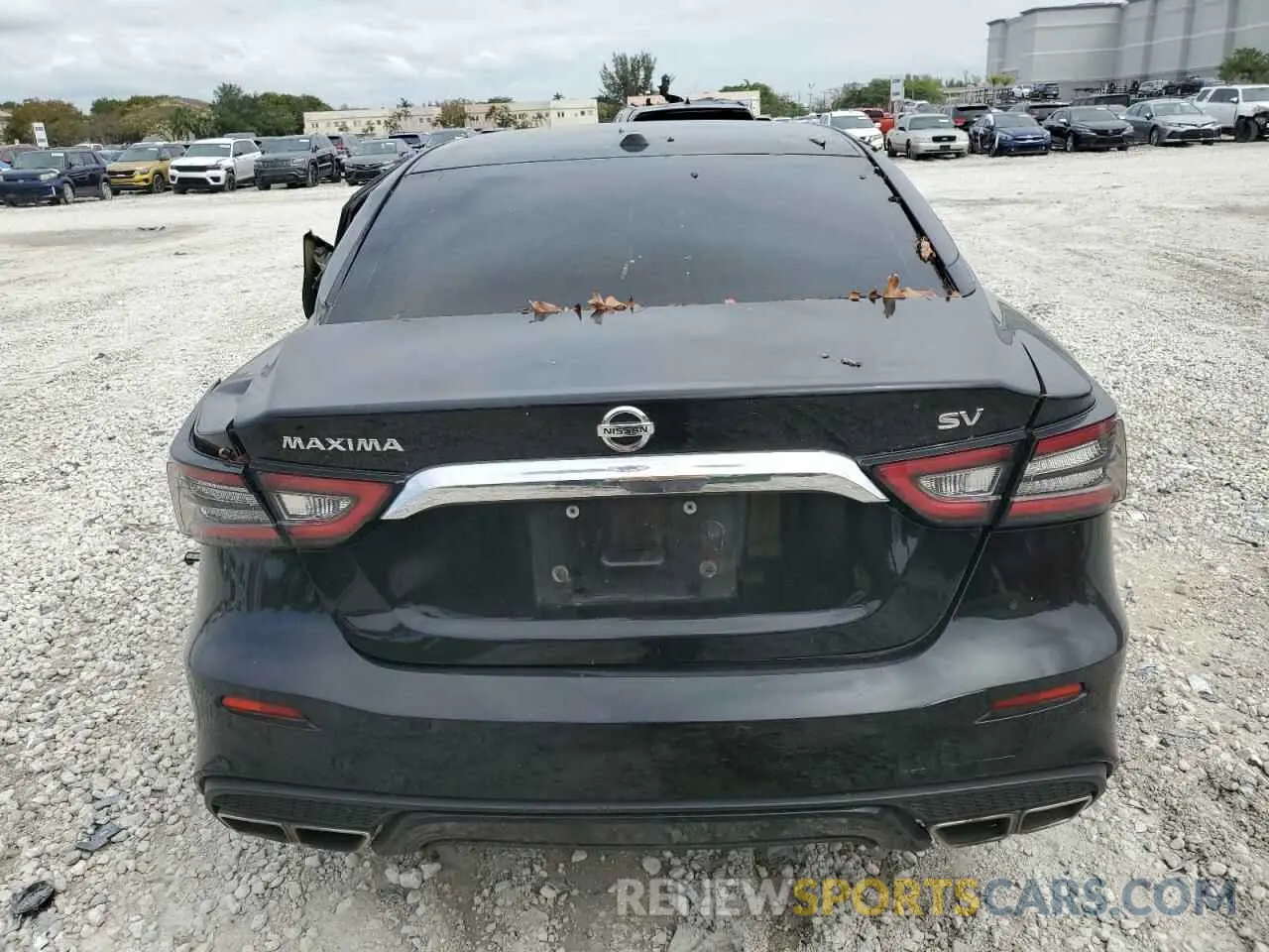 6 Photograph of a damaged car 1N4AA6CV5LC369263 NISSAN MAXIMA 2020