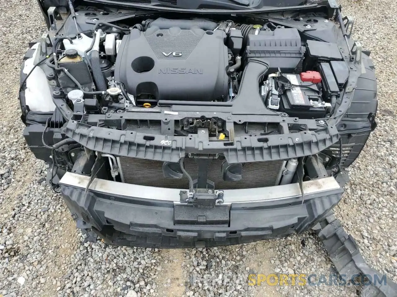 11 Photograph of a damaged car 1N4AA6CV5LC380926 NISSAN MAXIMA 2020