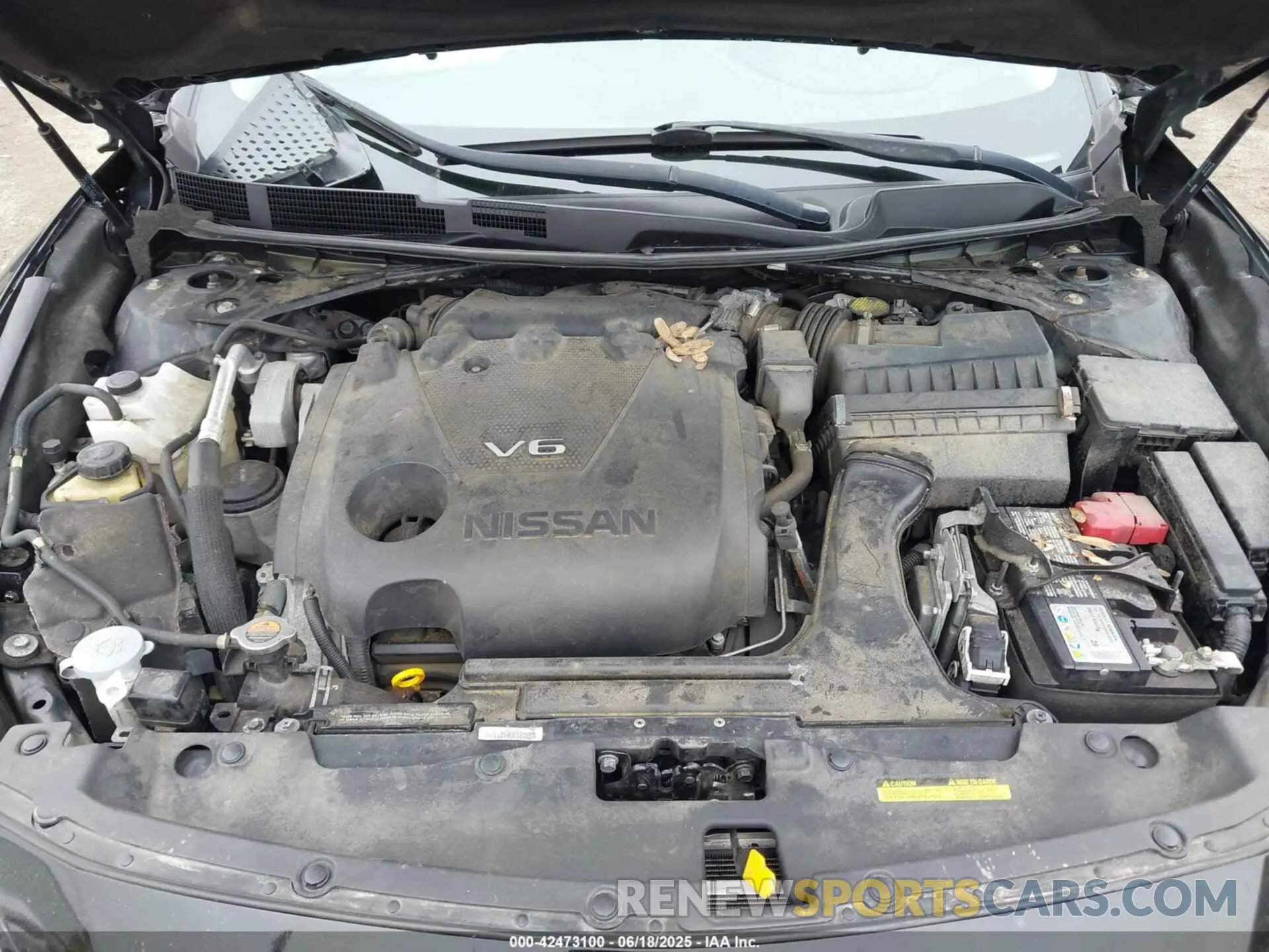 10 Photograph of a damaged car 1N4AA6CV7LC369538 NISSAN MAXIMA 2020