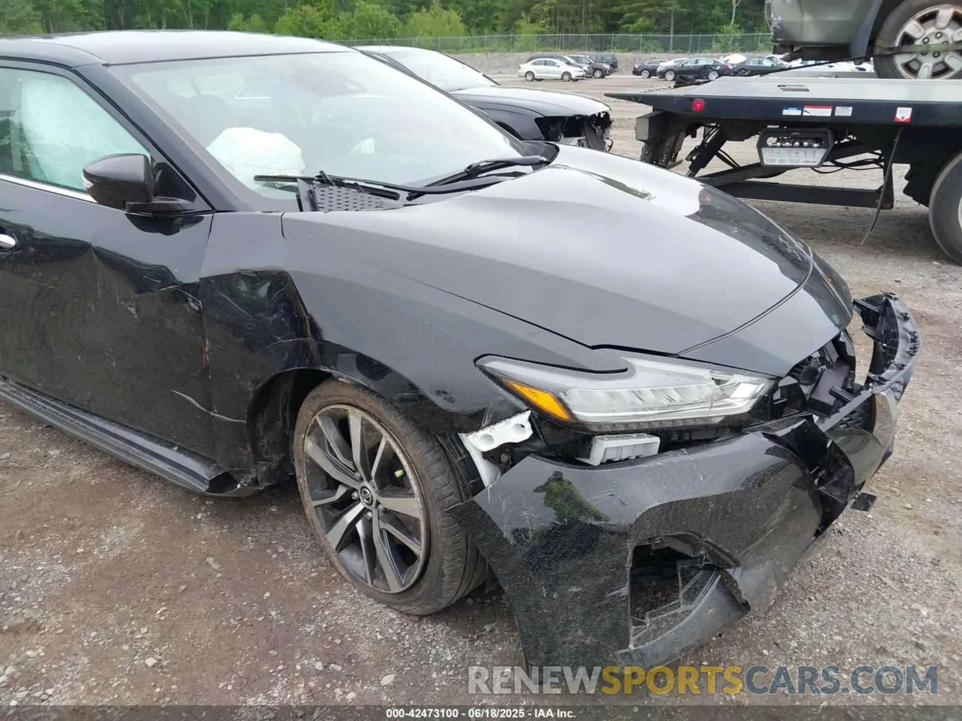 12 Photograph of a damaged car 1N4AA6CV7LC369538 NISSAN MAXIMA 2020