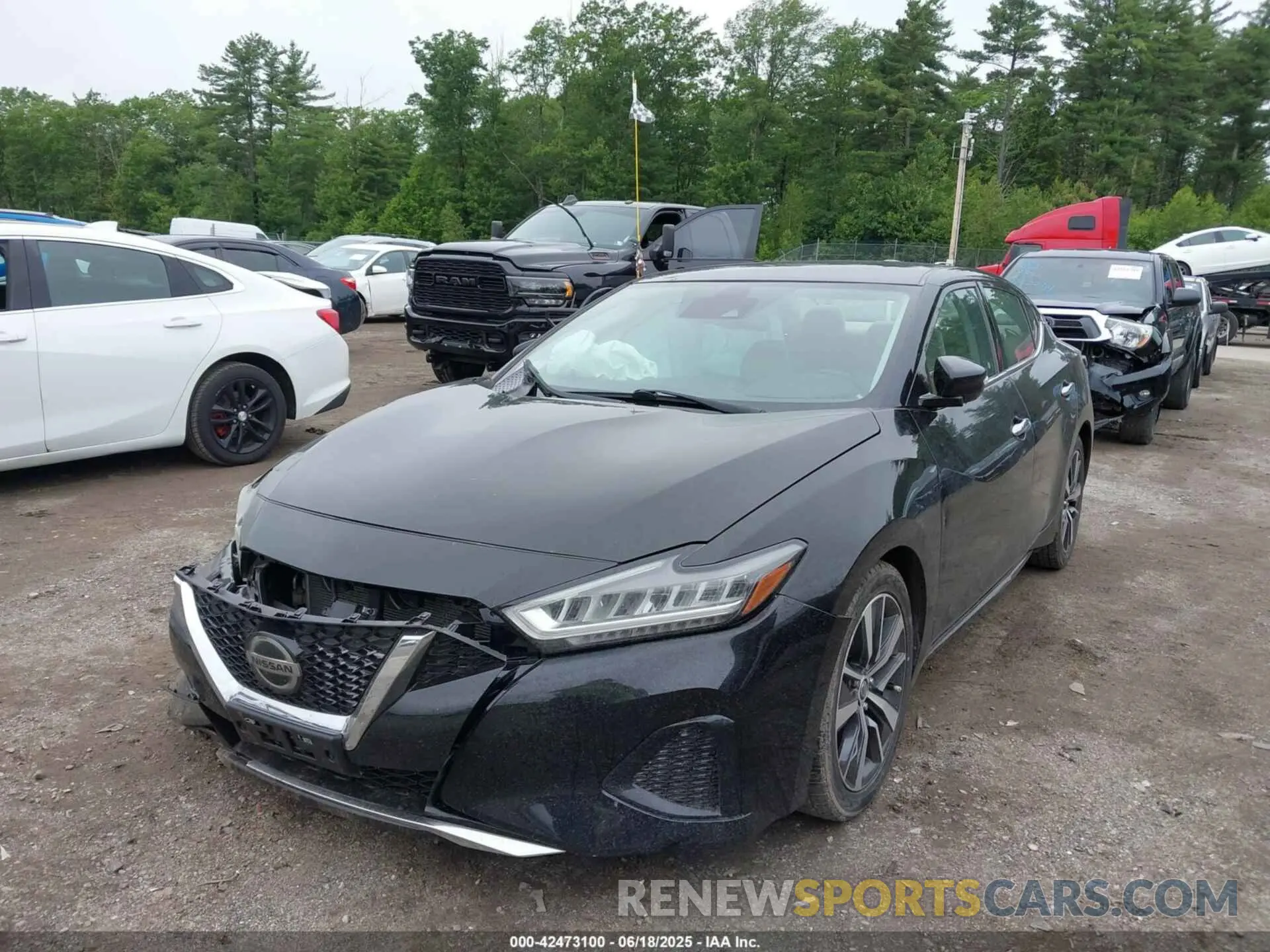 2 Photograph of a damaged car 1N4AA6CV7LC369538 NISSAN MAXIMA 2020