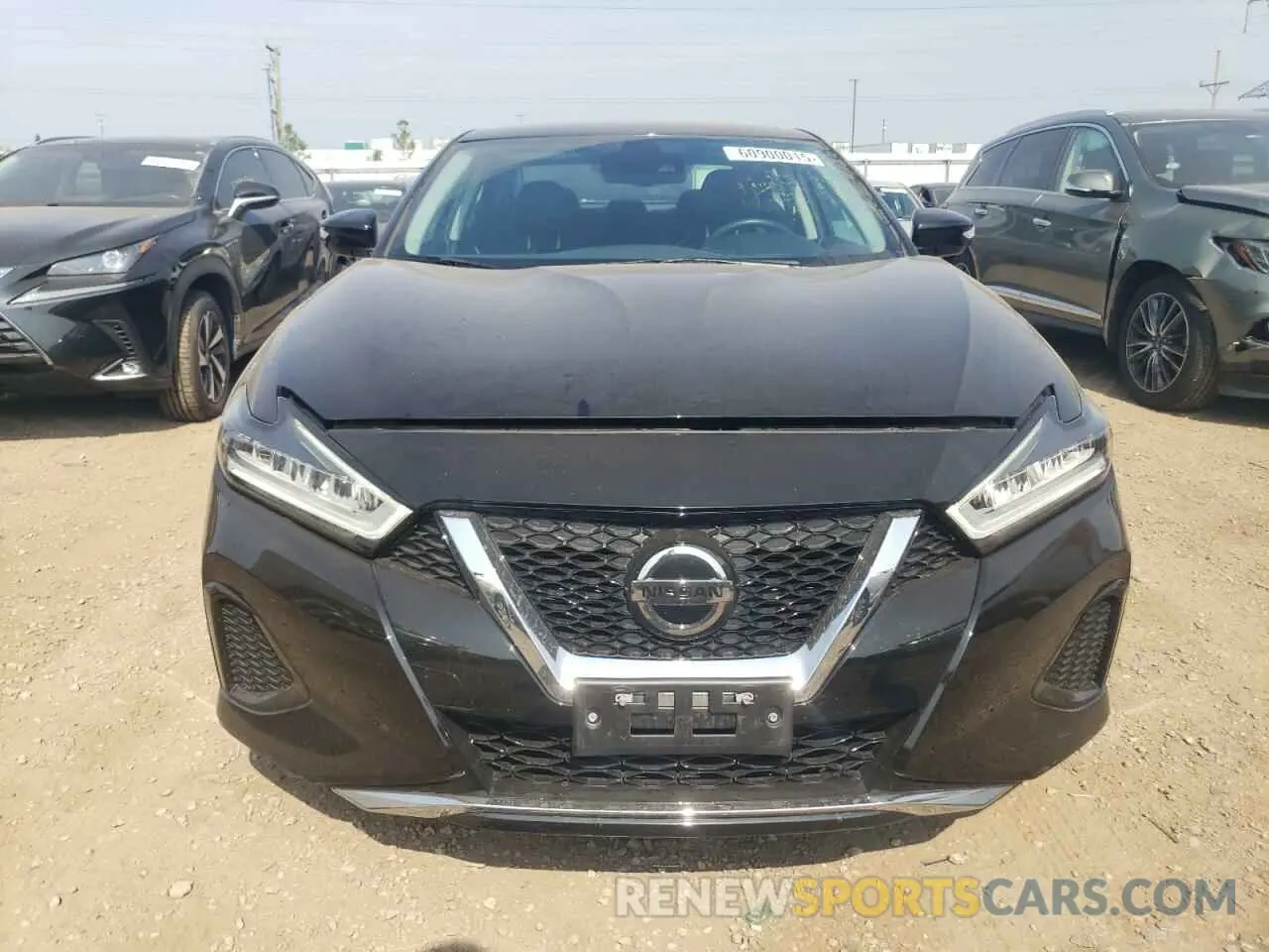 5 Photograph of a damaged car 1N4AA6CV8LC384436 NISSAN MAXIMA 2020