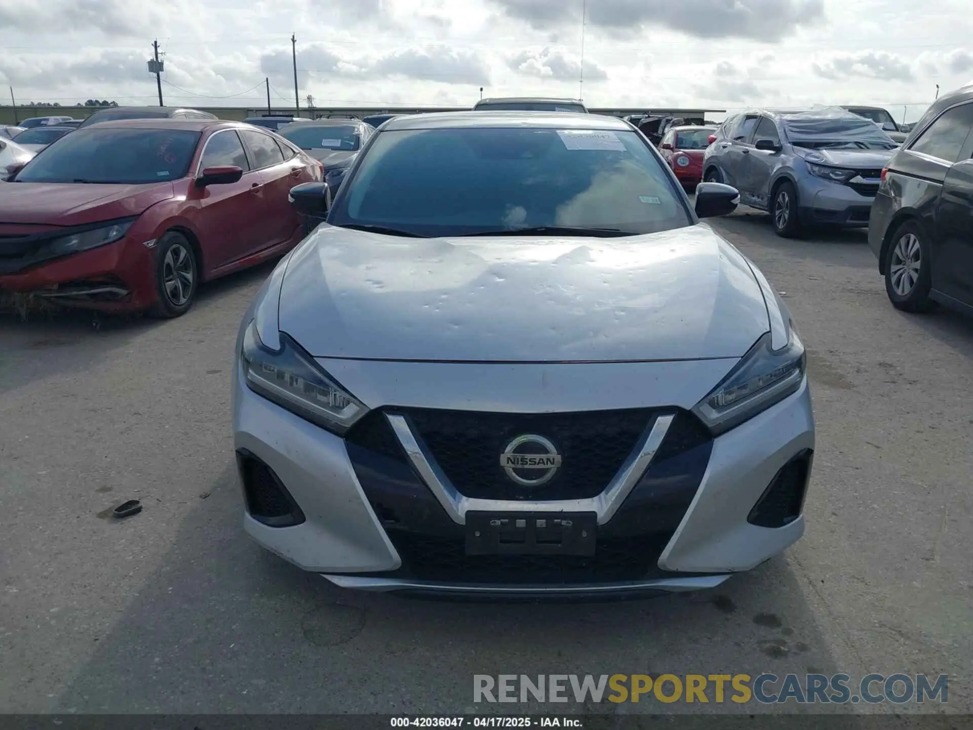 12 Photograph of a damaged car 1N4AA6CVXLC367542 NISSAN MAXIMA 2020