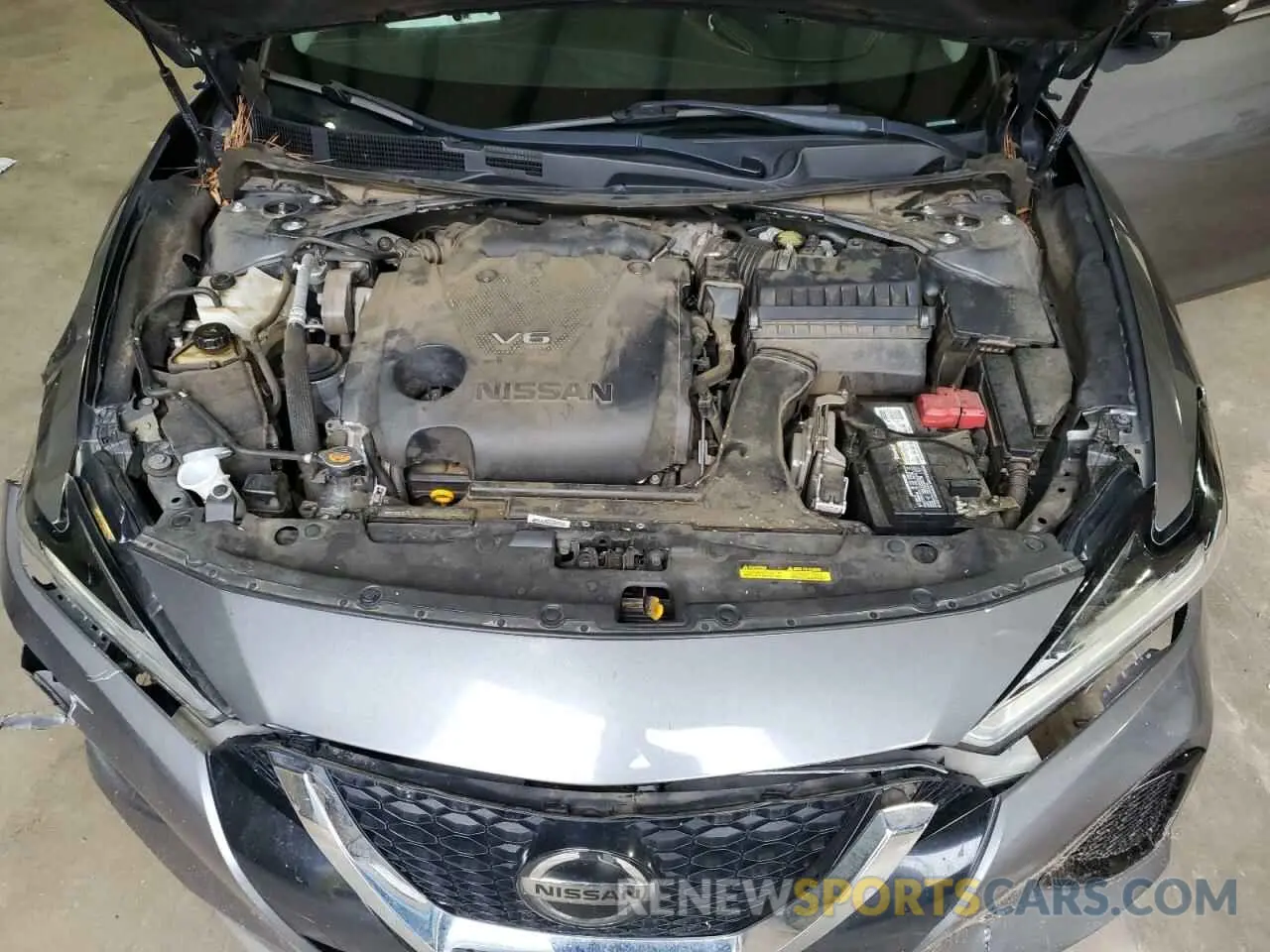 11 Photograph of a damaged car 1N4AA6CVXLC369534 NISSAN MAXIMA 2020