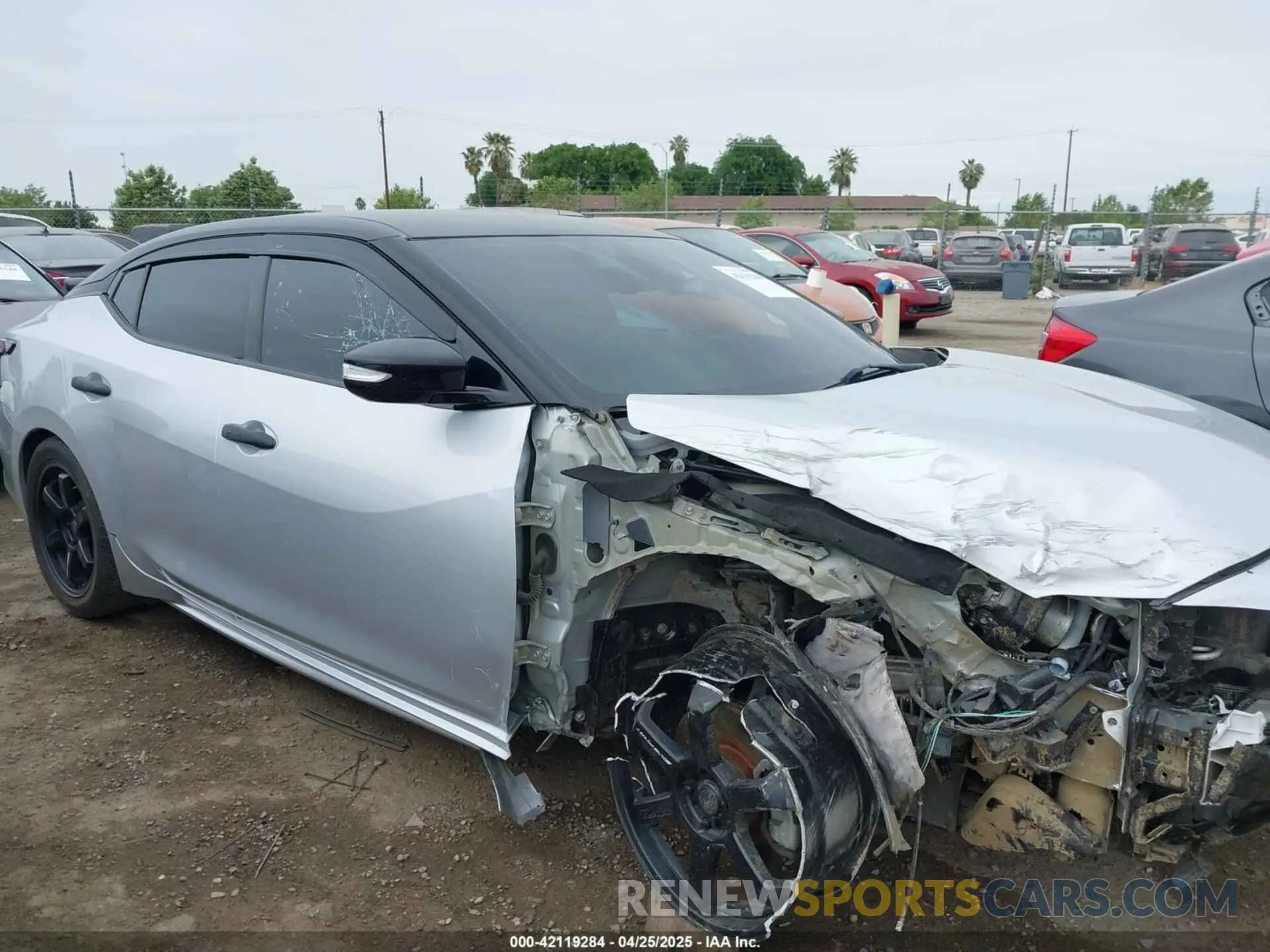 14 Photograph of a damaged car 1N4AA6CVXLC378511 NISSAN MAXIMA 2020